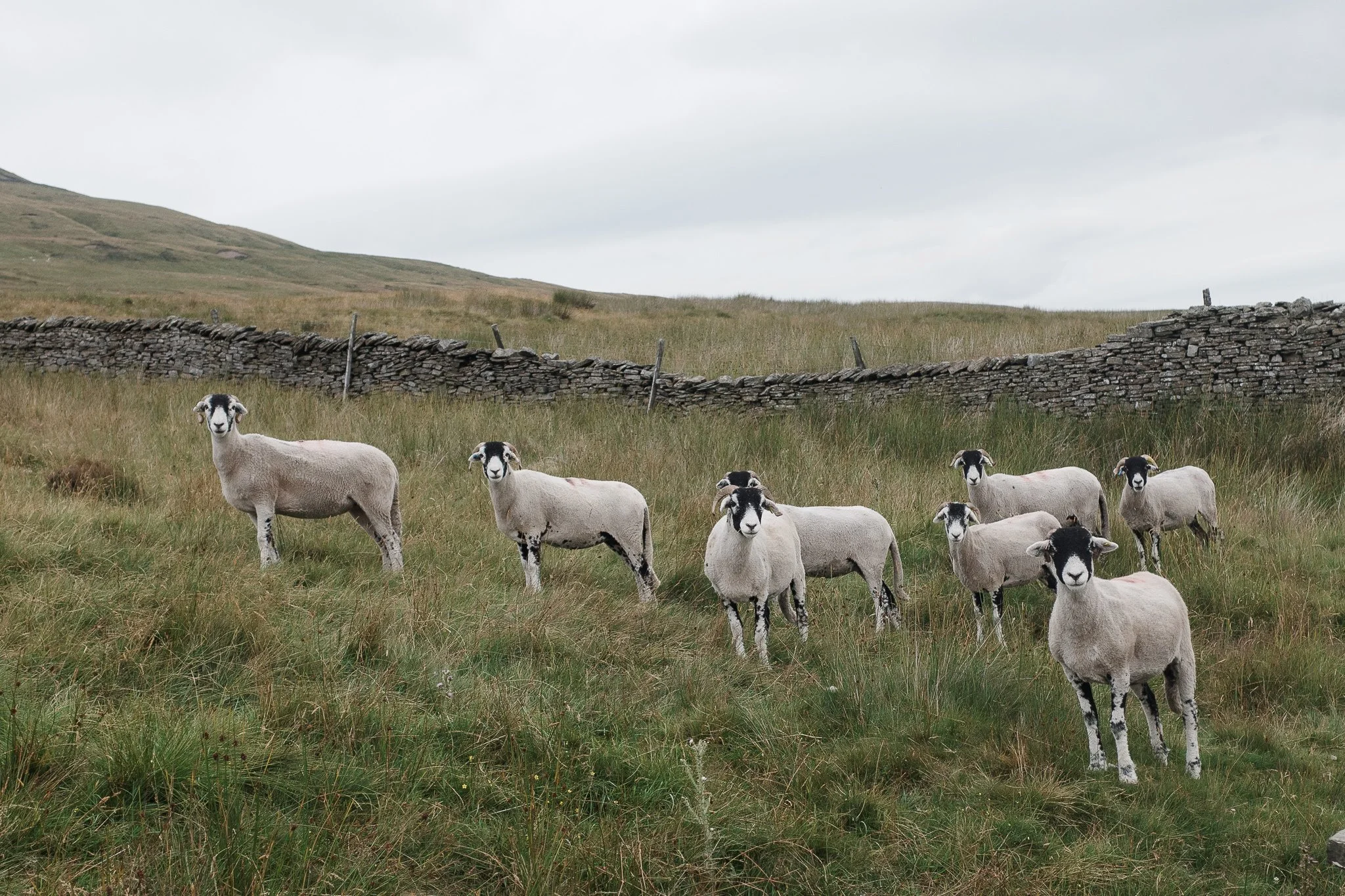 Documentary Landscape
