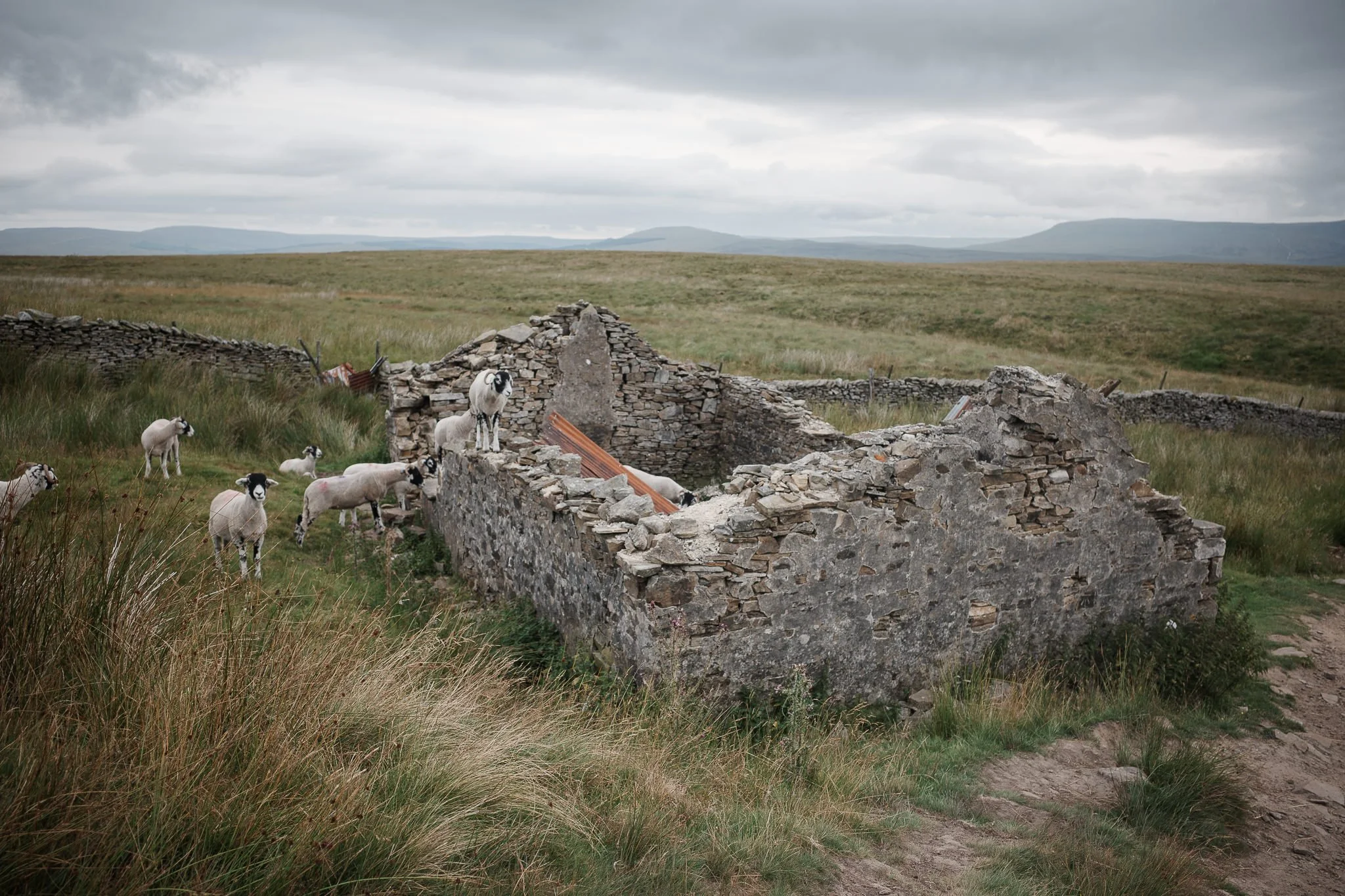 Yorkshire Three Peaks: Ingleborough