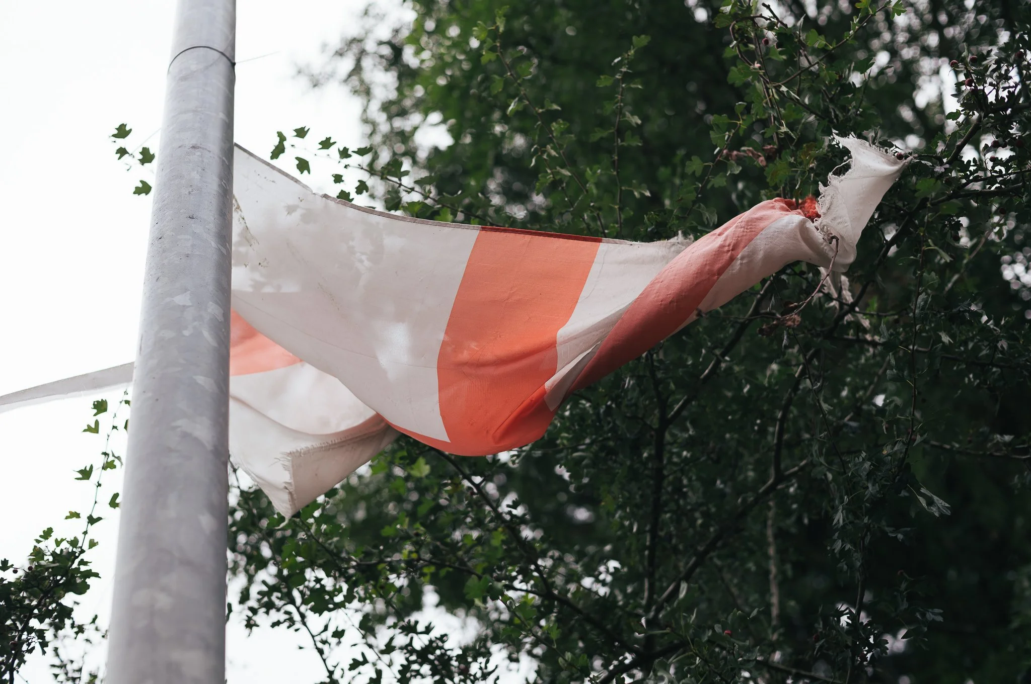 Tattered England flags hang from trees and lamp posts all around Pontefract