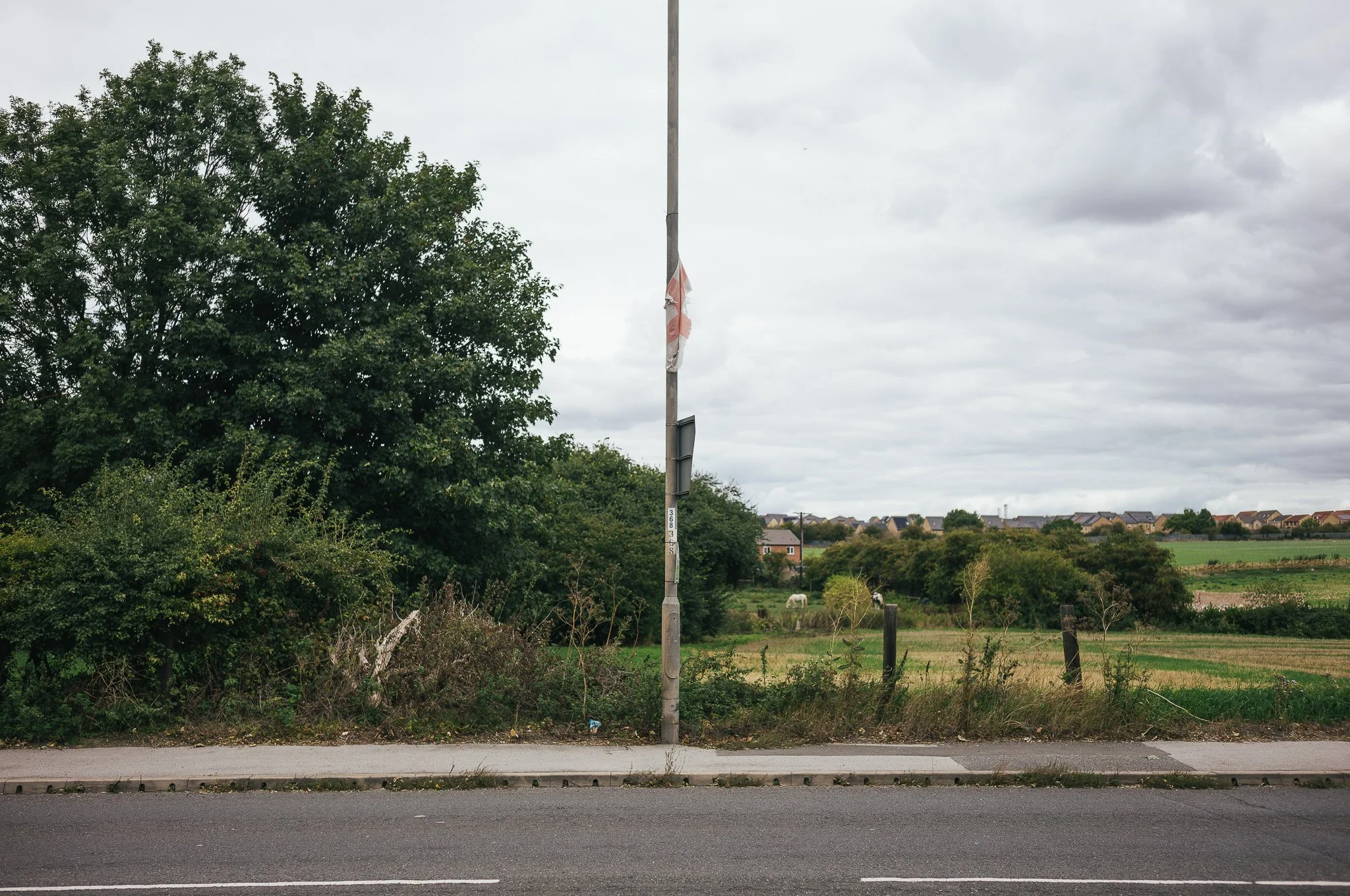 Tattered England flags hang from trees and lamp posts all around Pontefract
