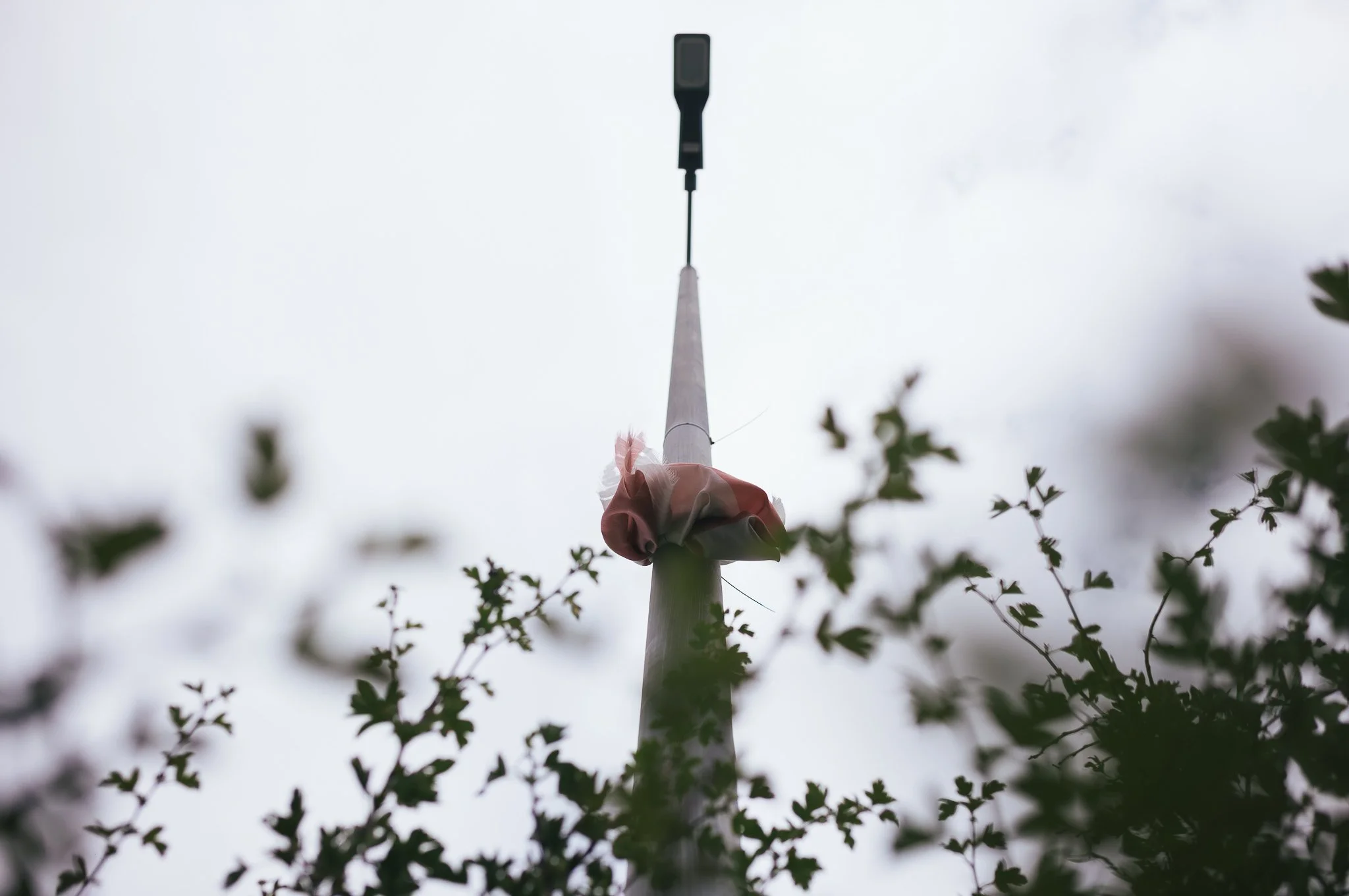 Tattered England flags hang from trees and lamp posts all around Pontefract