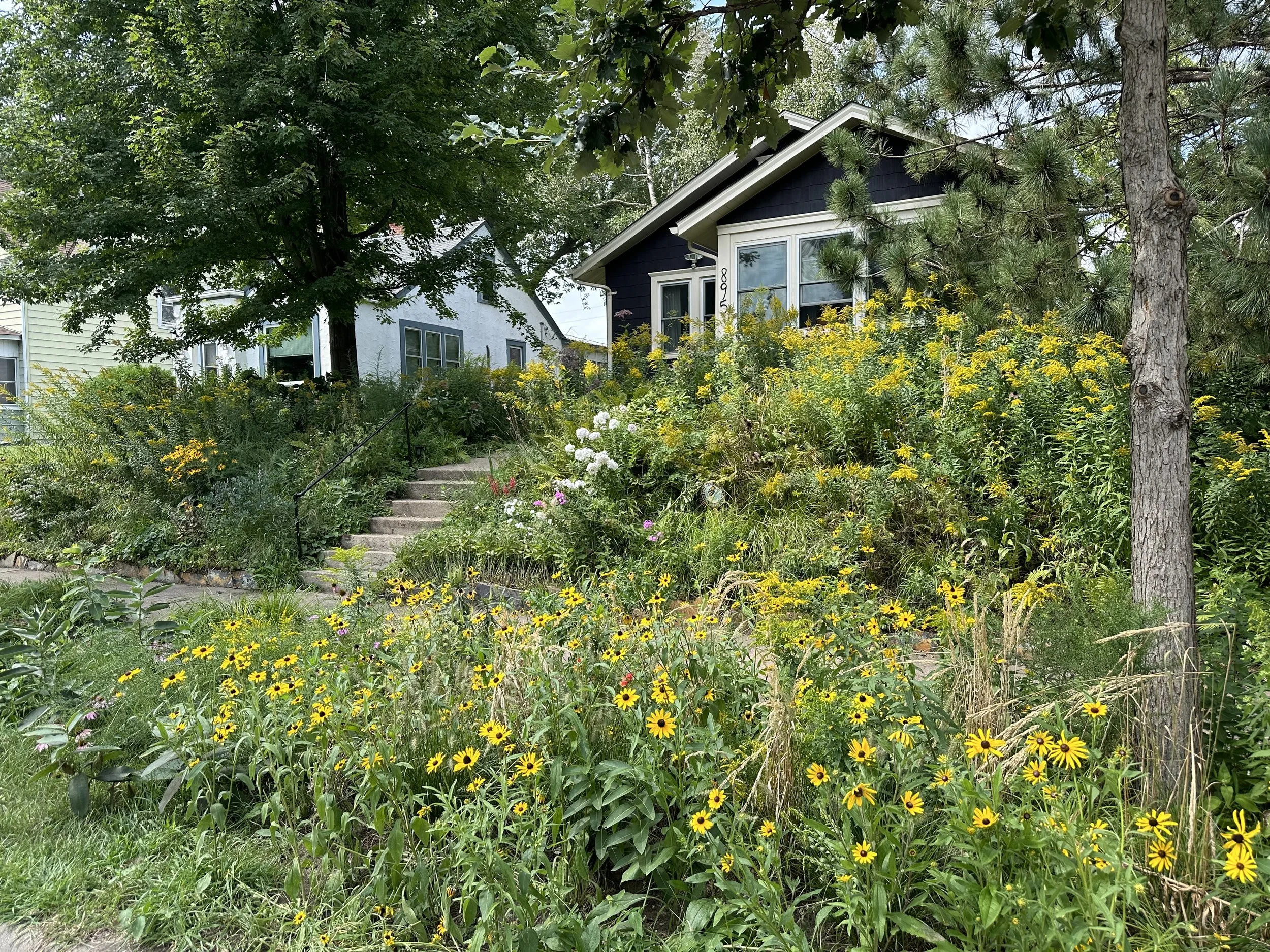 The garden later in the season