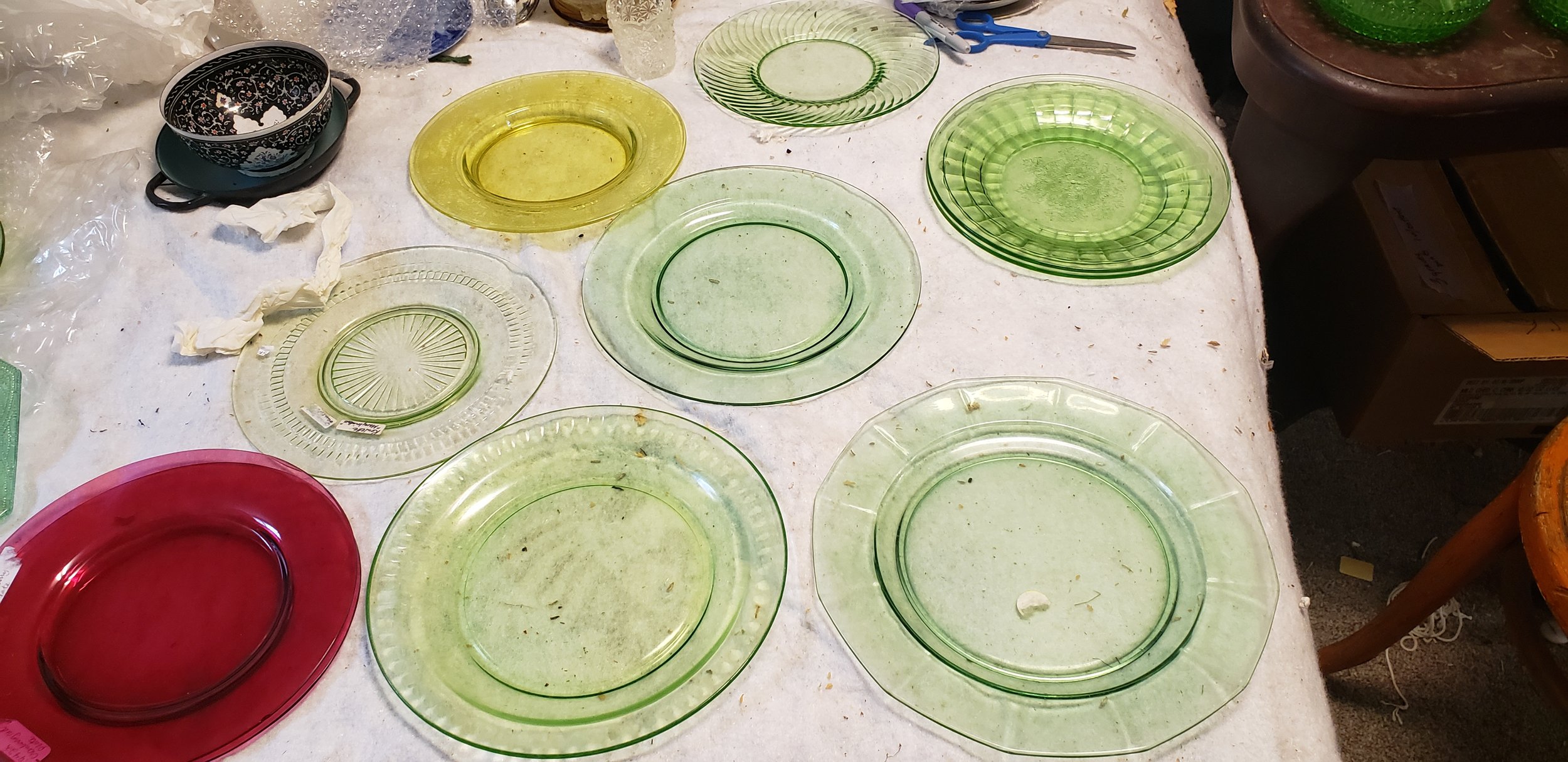 20250613_112449.jpg