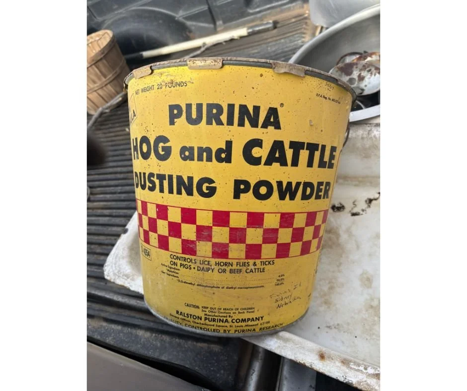 Untitled design (10).jpg