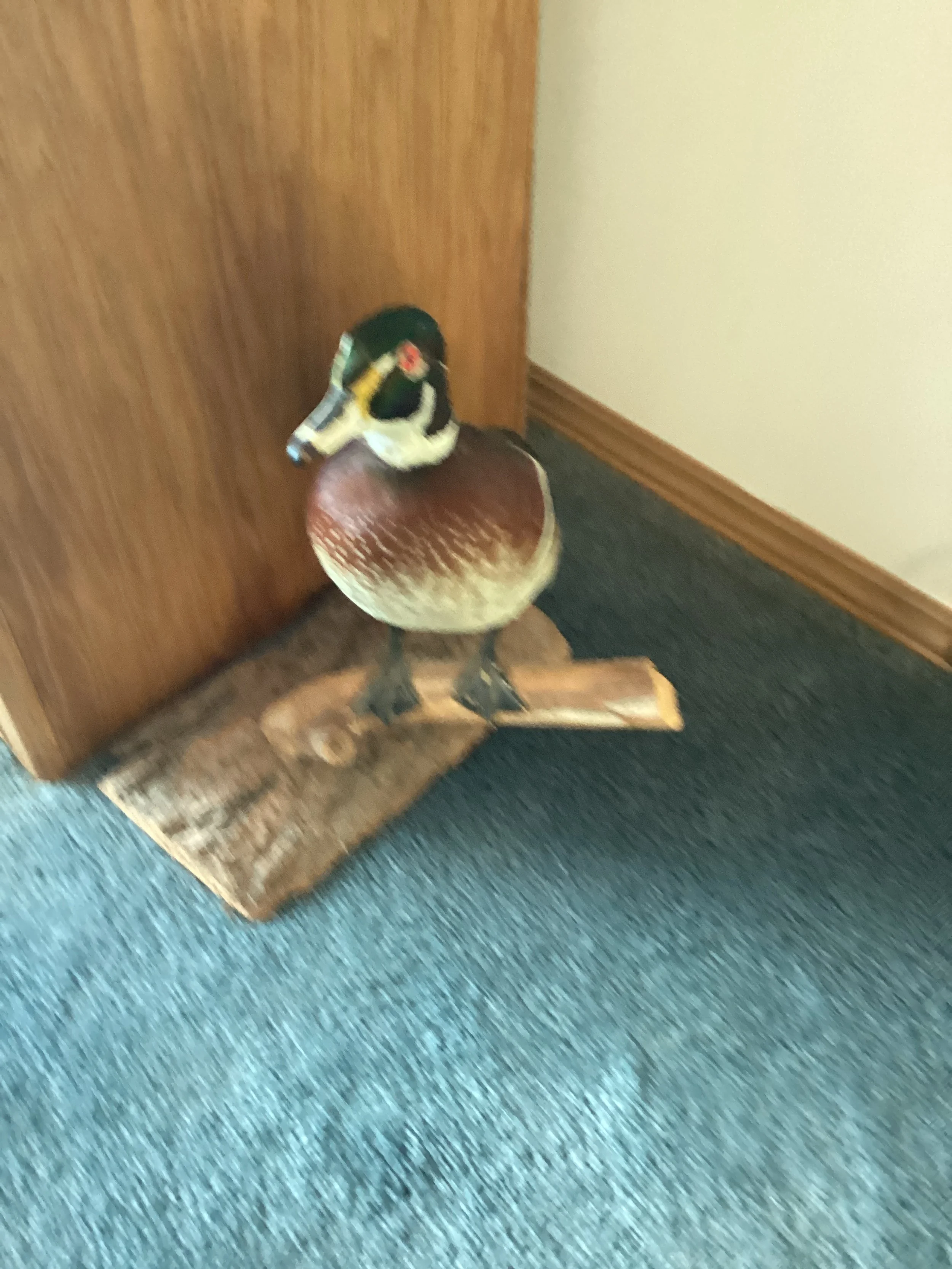 IMG_7084.jpeg