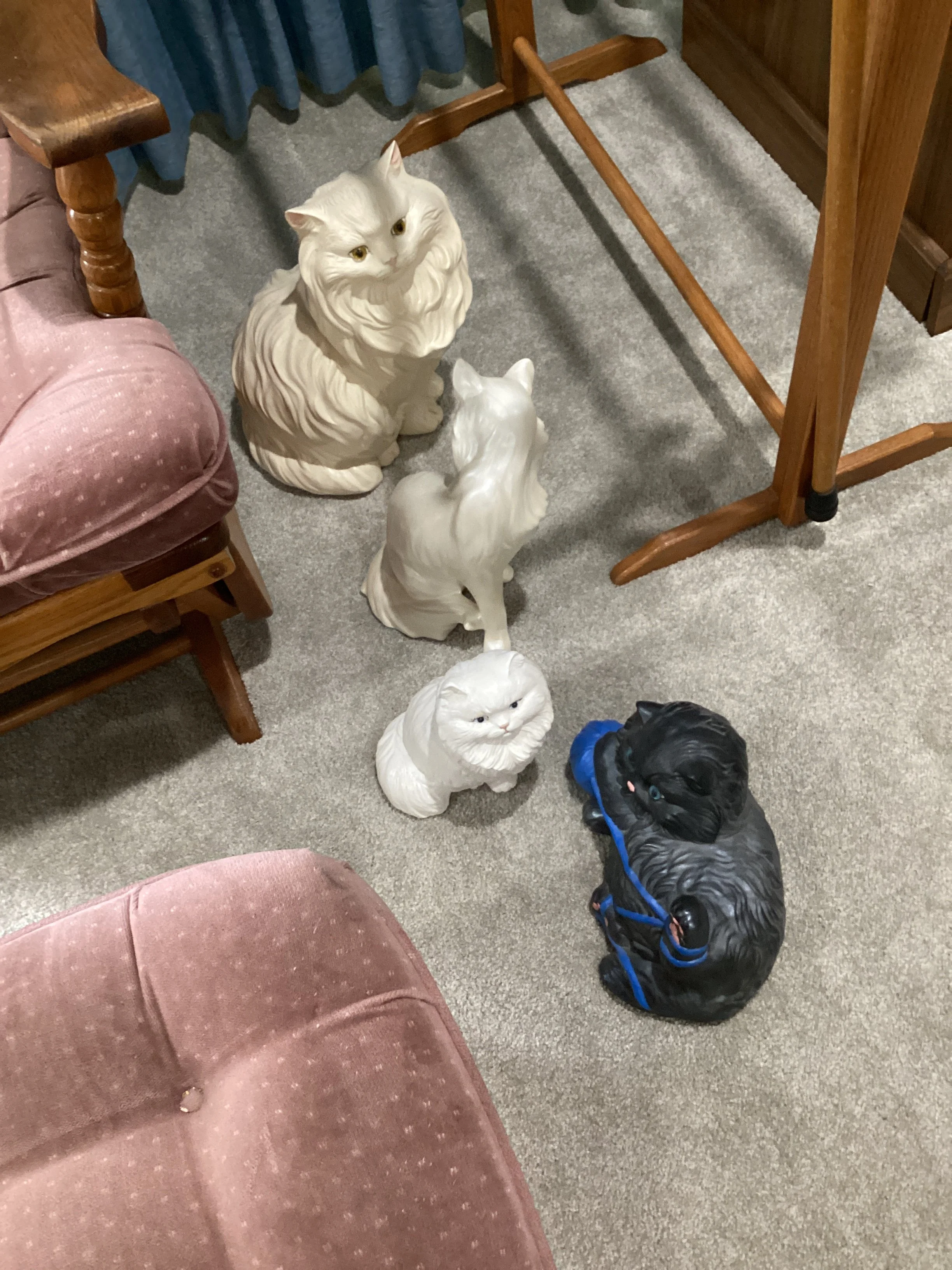 IMG_20260916_065322.jpg