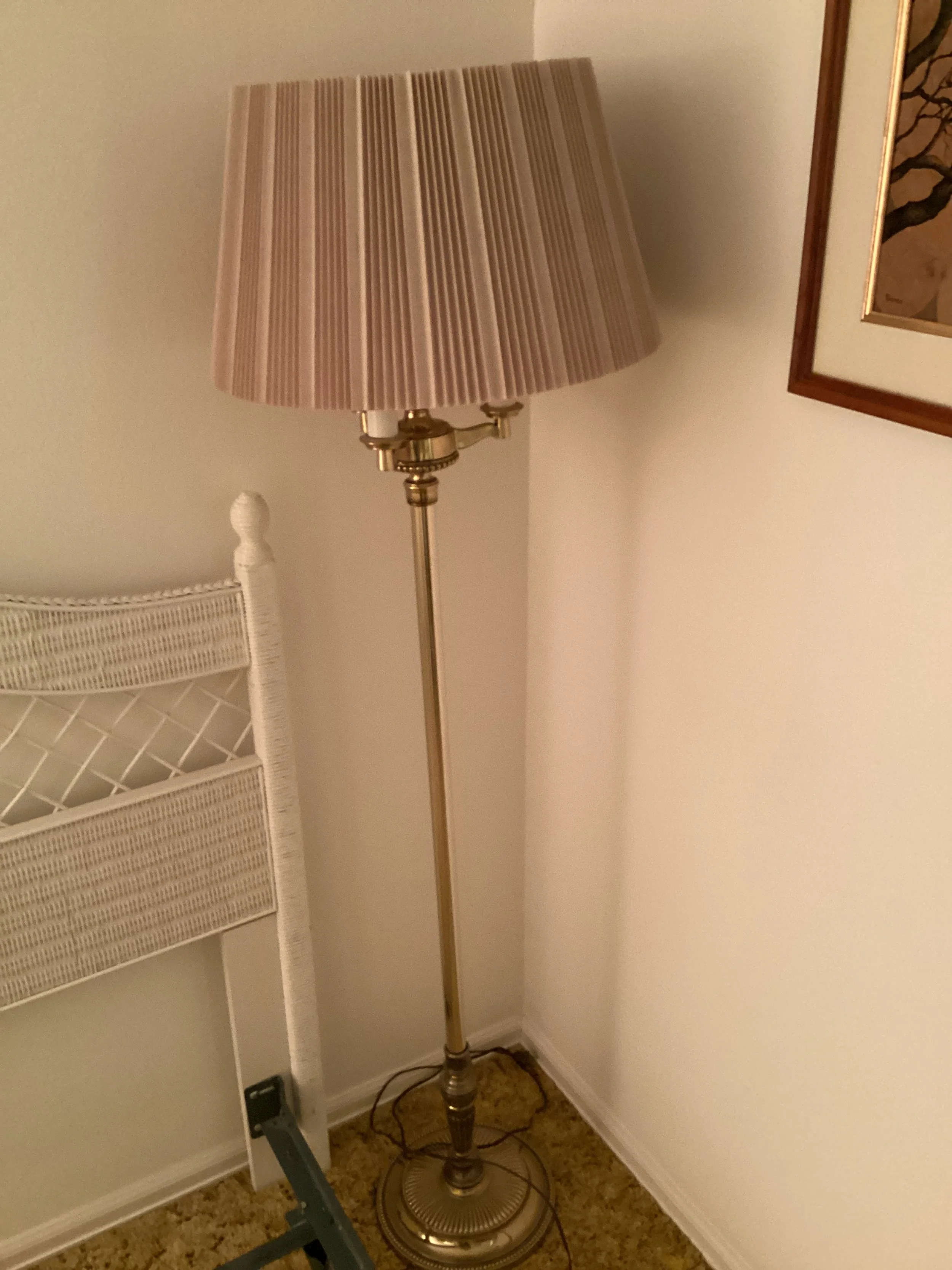 IMG_5895.jpeg
