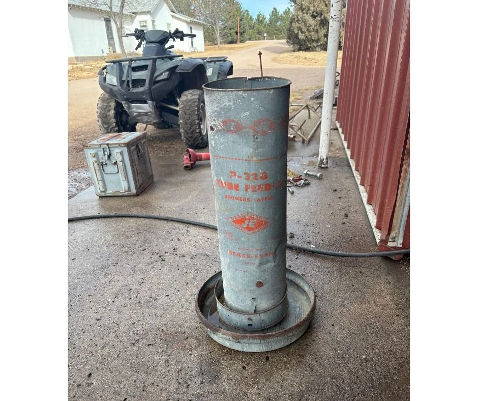 Untitled design (9).jpg