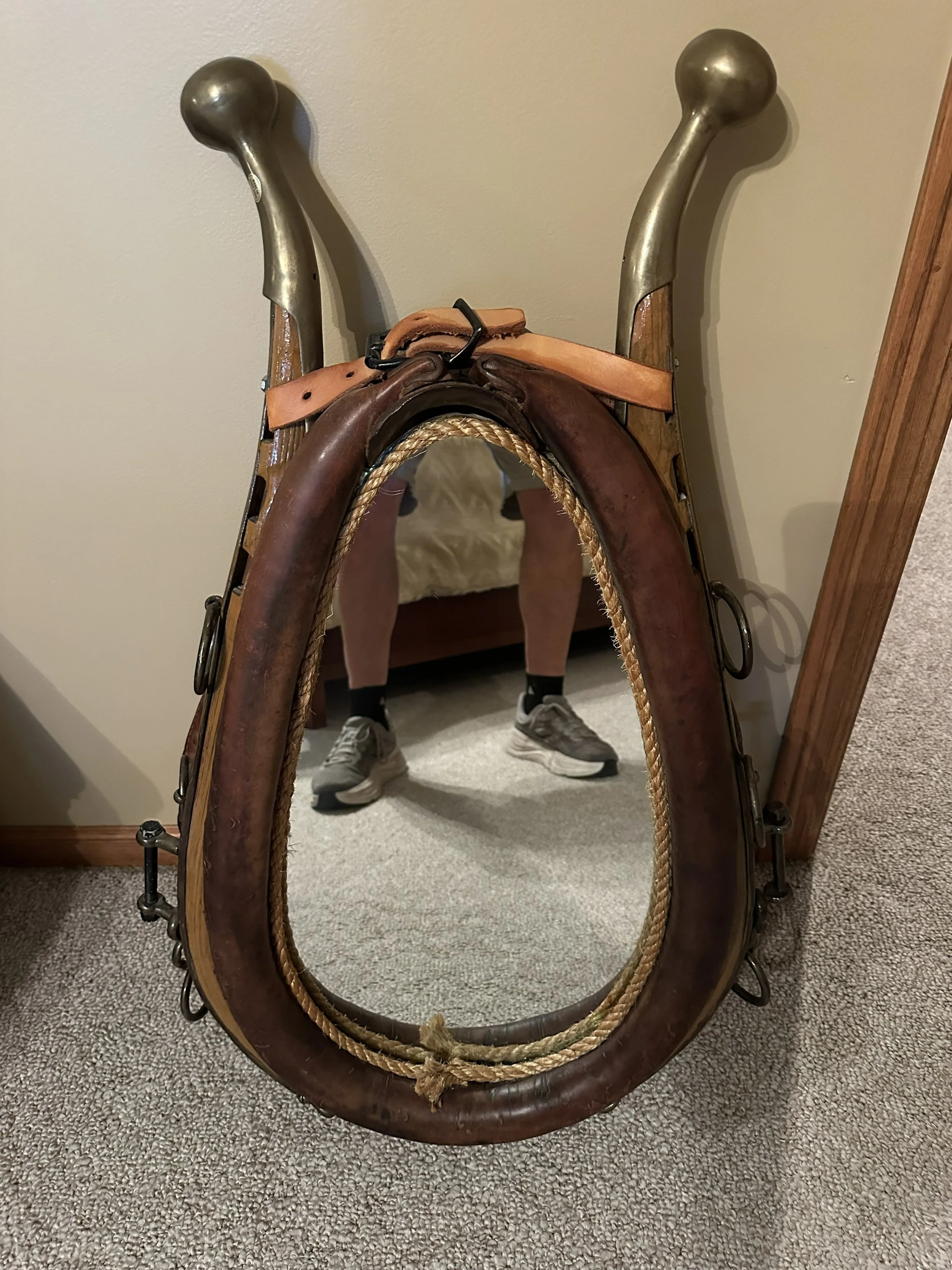 Horse Collar Mirror decor.jpg