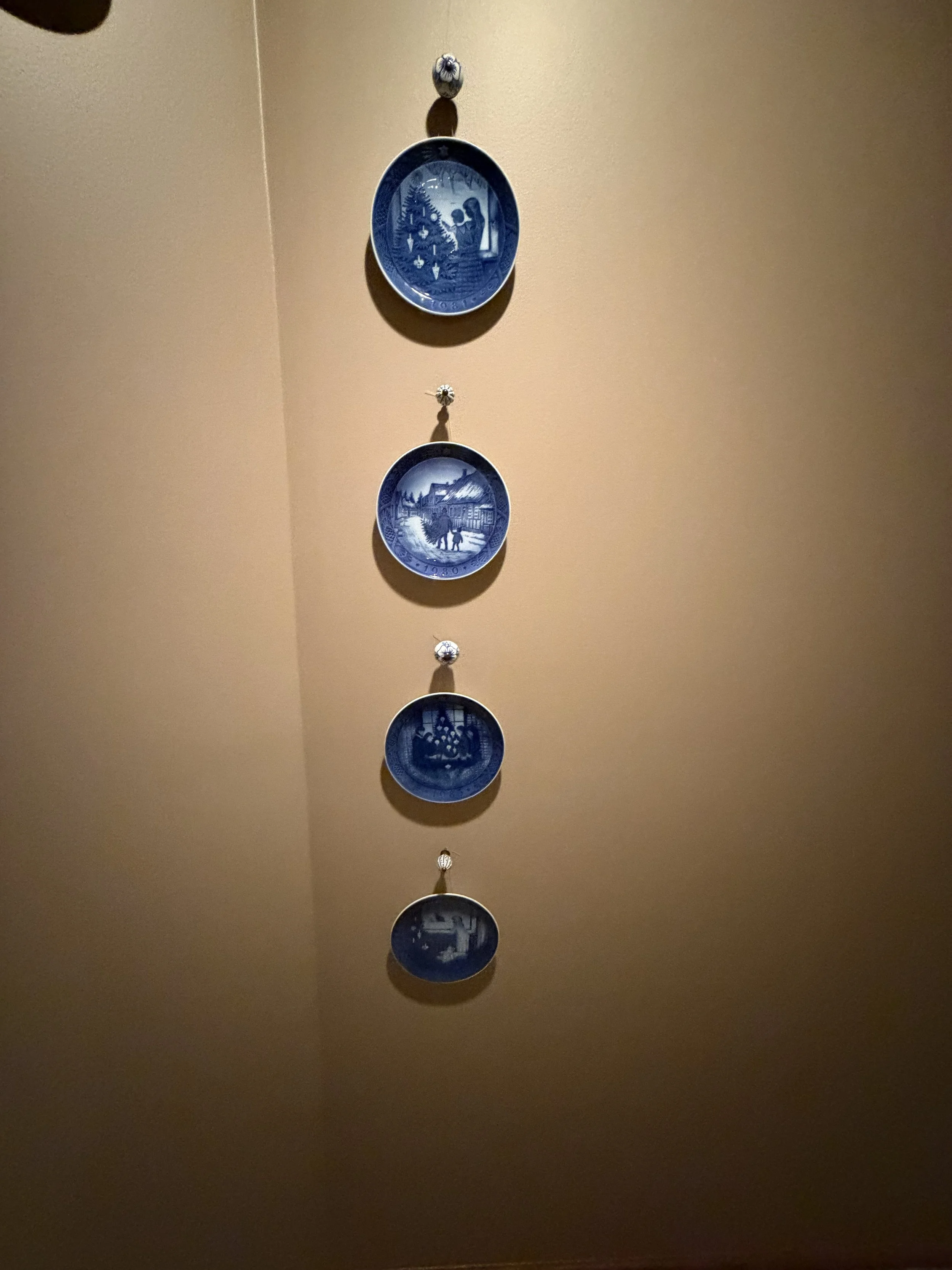 74 Copenhagen blue dishes hanging.jpg