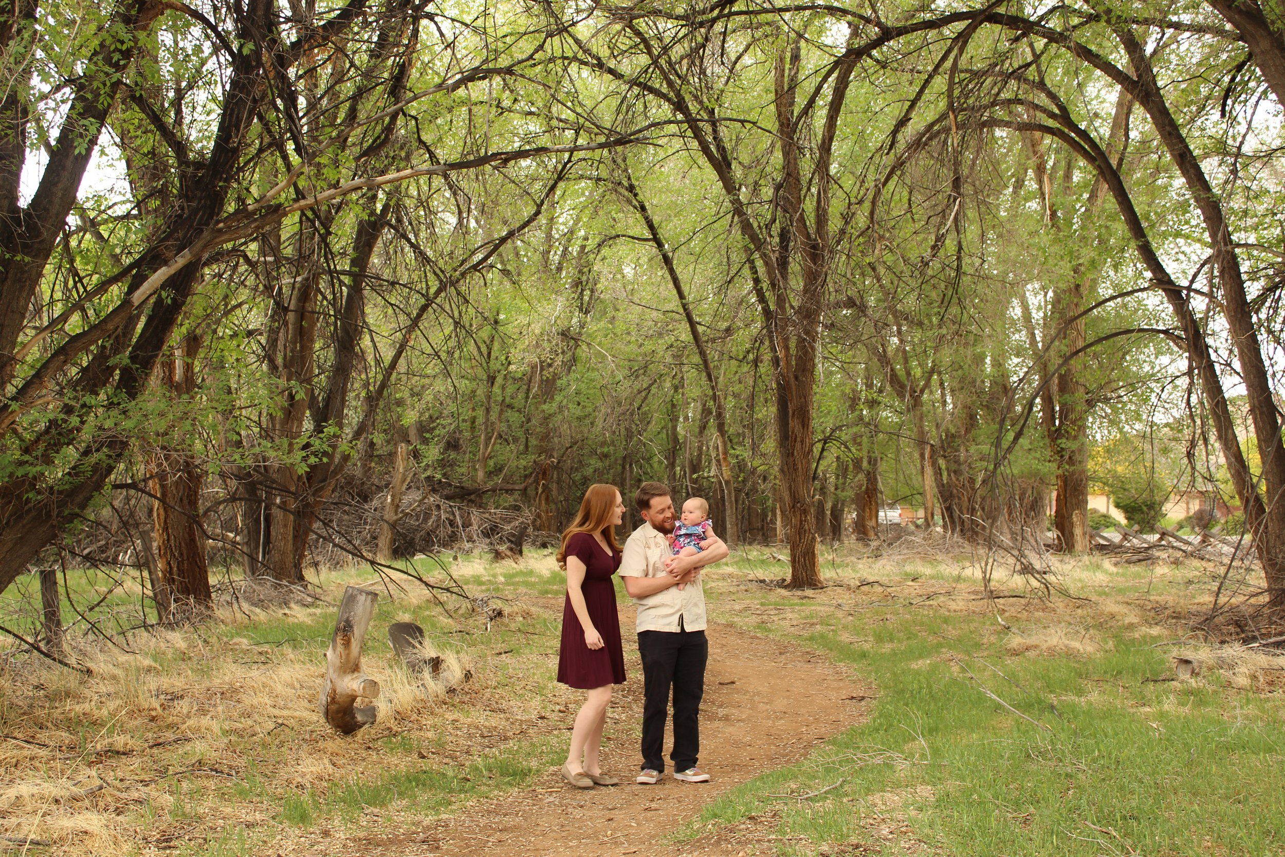 Family with a baby walking on a forest path, surrounded by tall trees and greenery.
