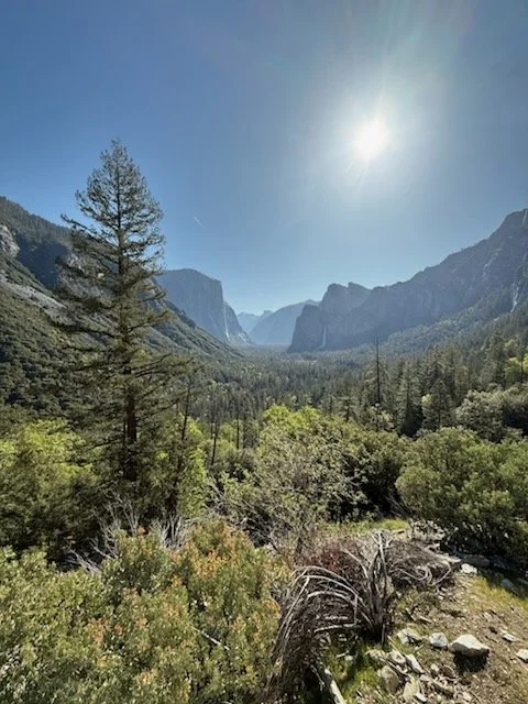Kings Canyon National Park, California