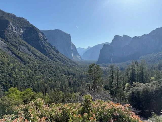 Kings Canyon National Park, California