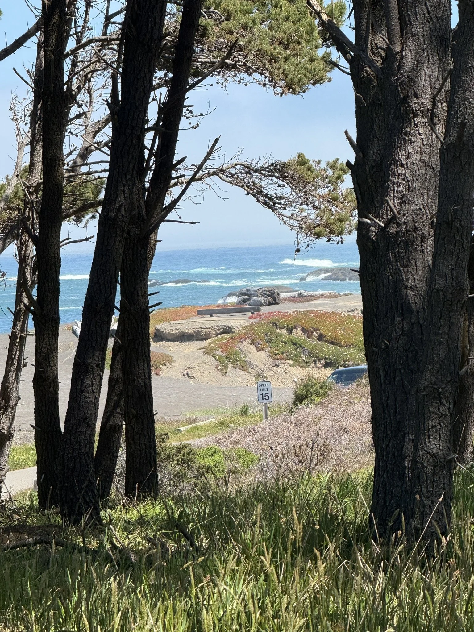 IMG_3252.JPEG