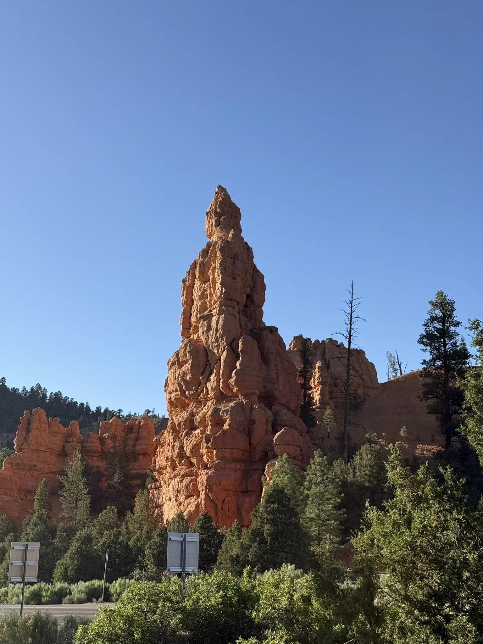 Bryce Canyon Hoodoos