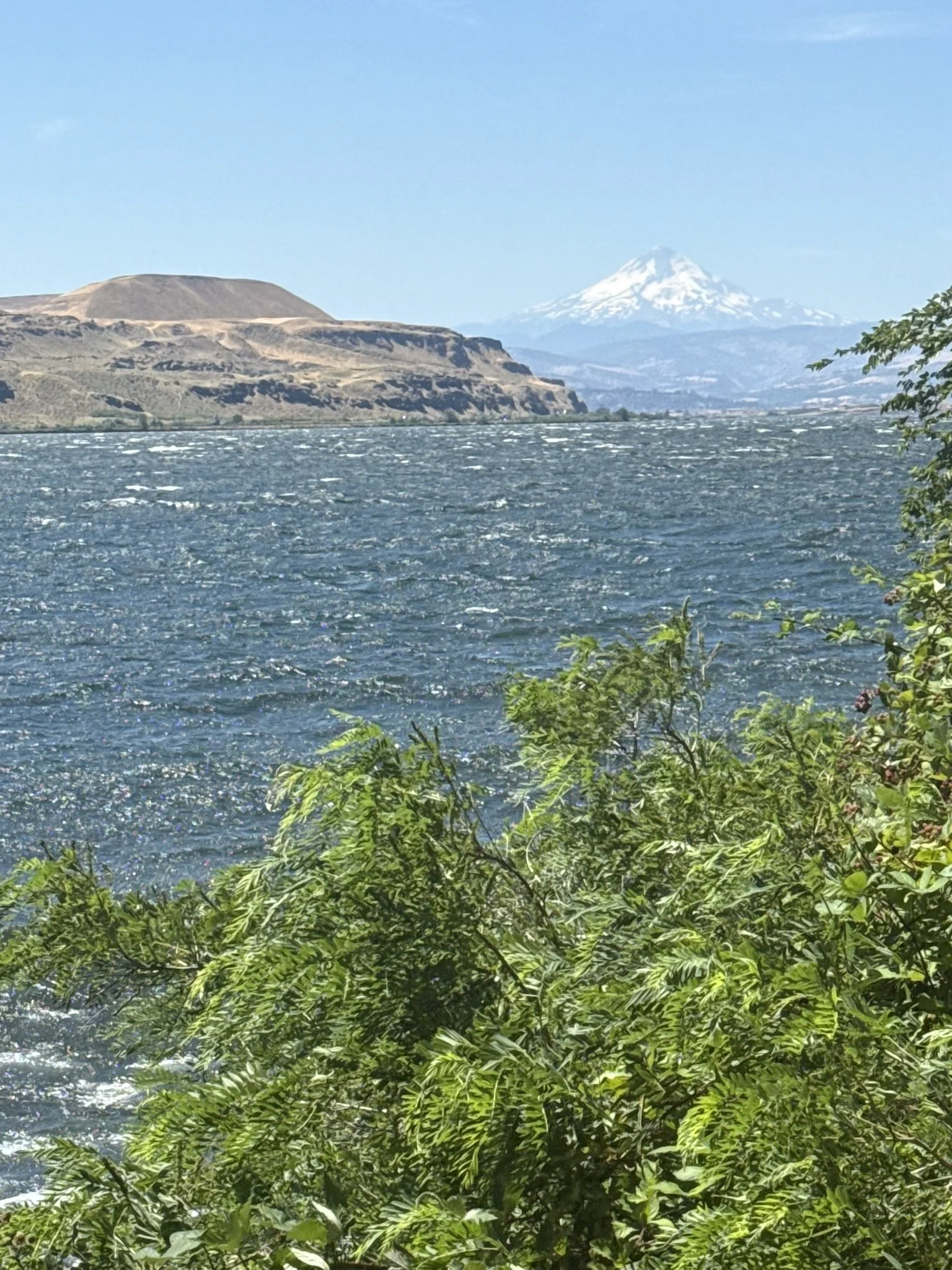 IMG_4335.JPEG