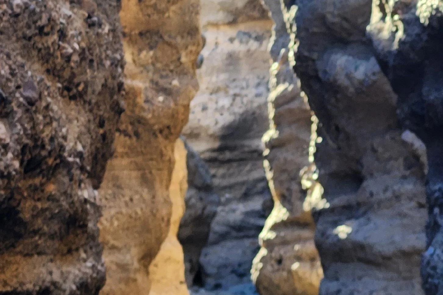 From Desert Days to Holiday Hugs