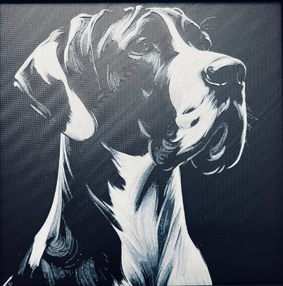 Great Dane