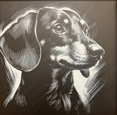 Dachshund