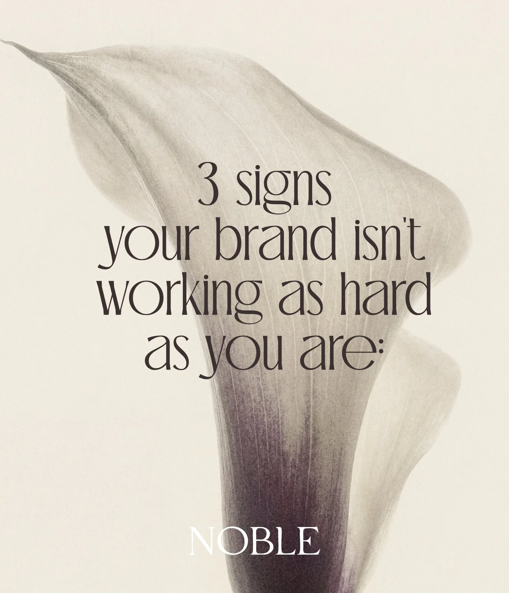 If these hit home, it may not be a marketing problem. It's a strategy problem.

If you're ready to fix what's actually broken, let's talk. Link in bio.✨