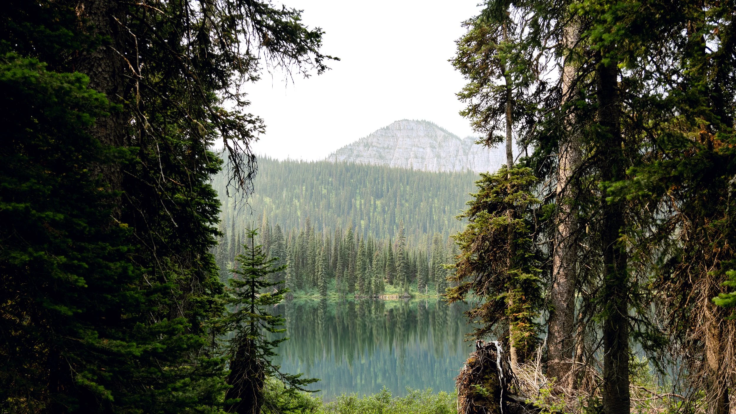 Storecatsiteimages-9.jpg