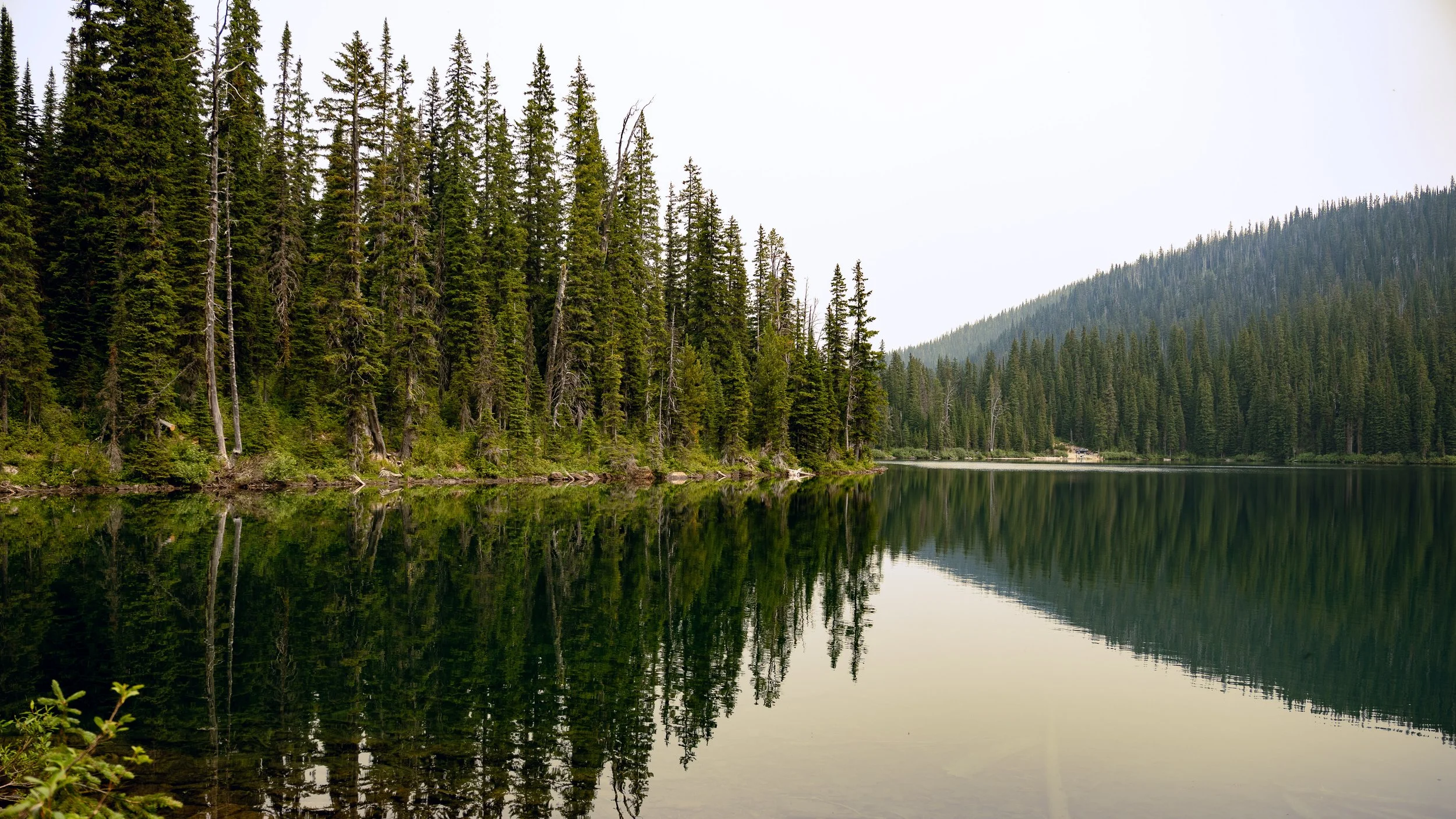 Storecatsiteimages-12.jpg