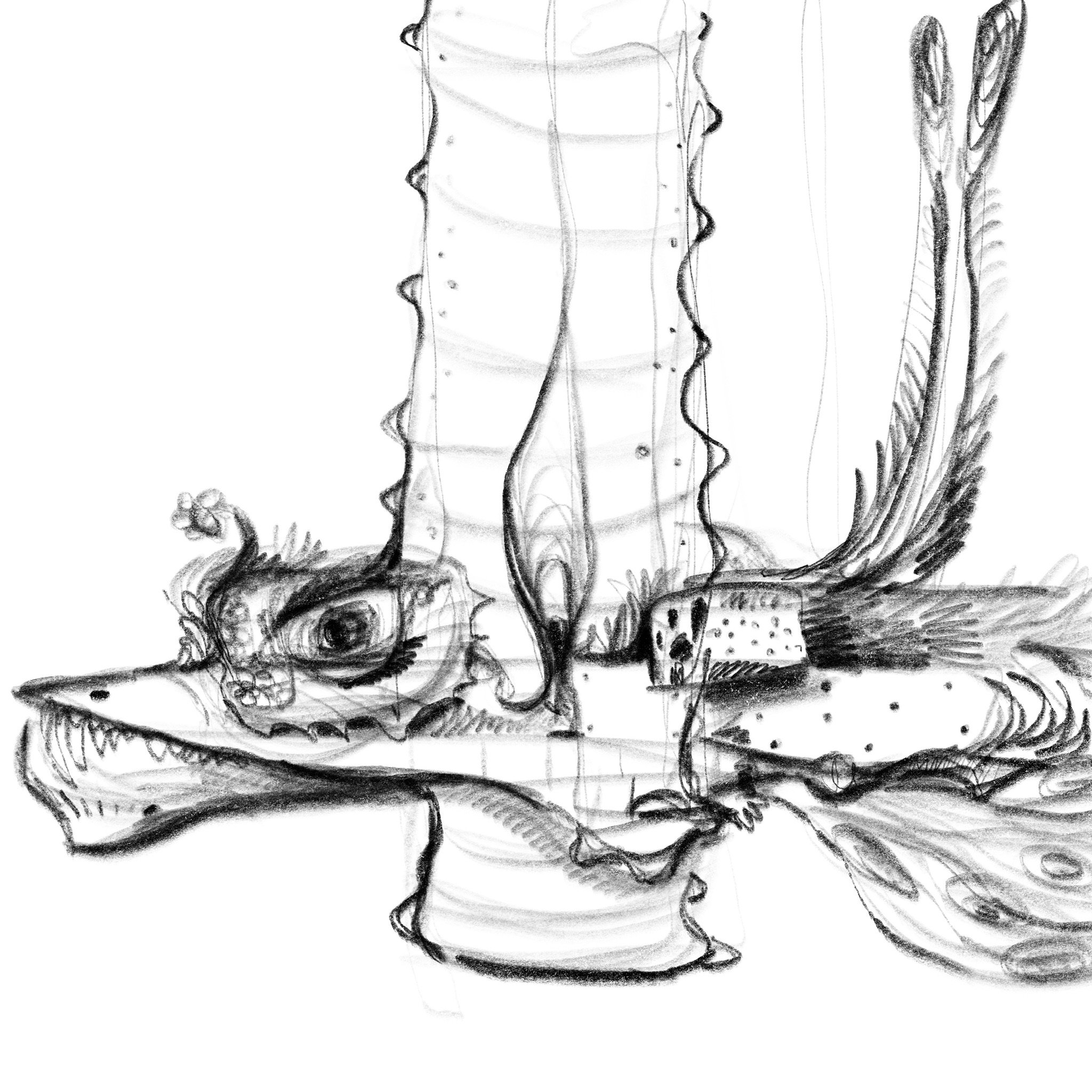 E8B05EAD-8526-4D71-A7CD-FC5ED22846DA 2.JPG