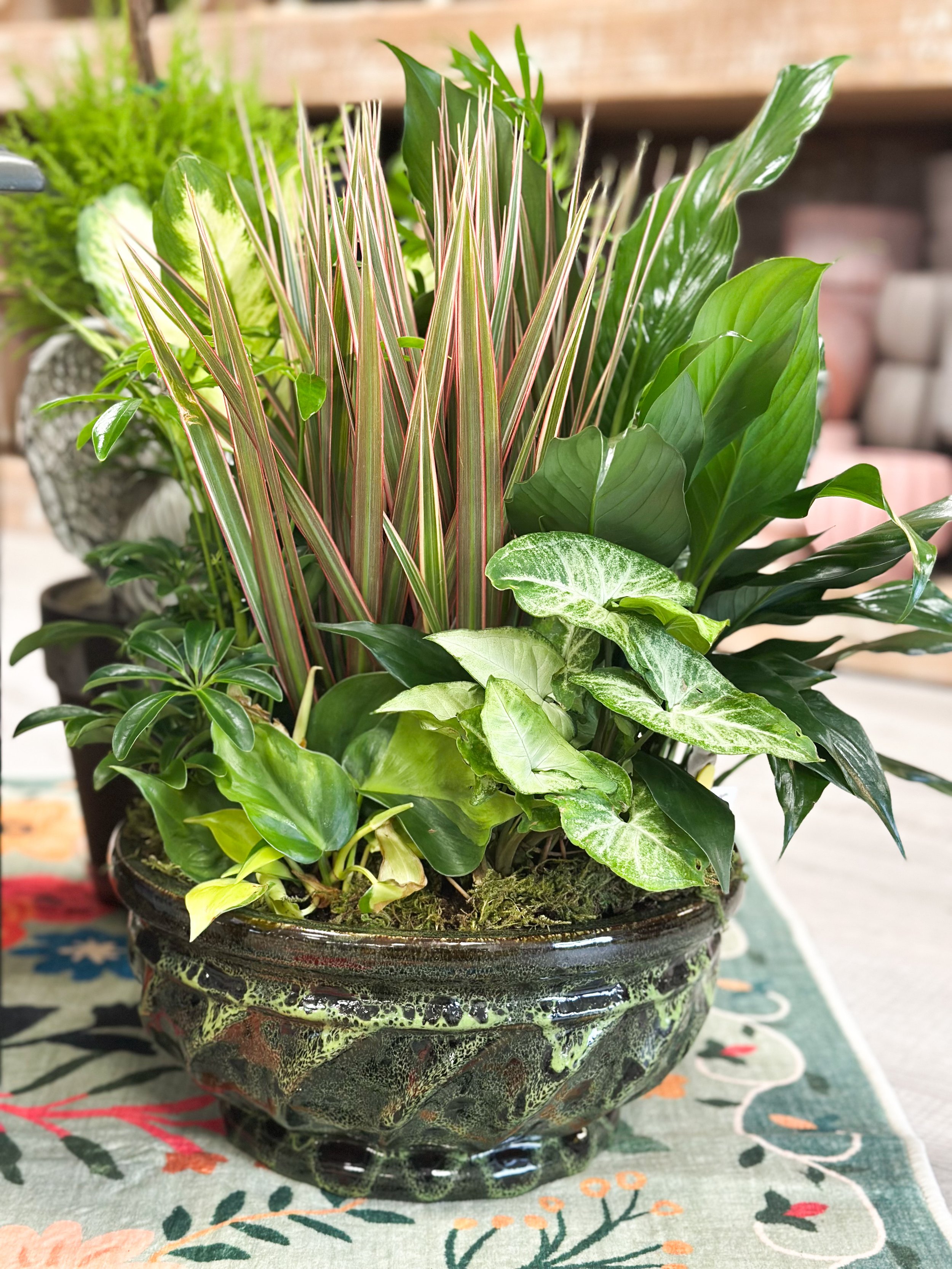 Traditional Dish Garden