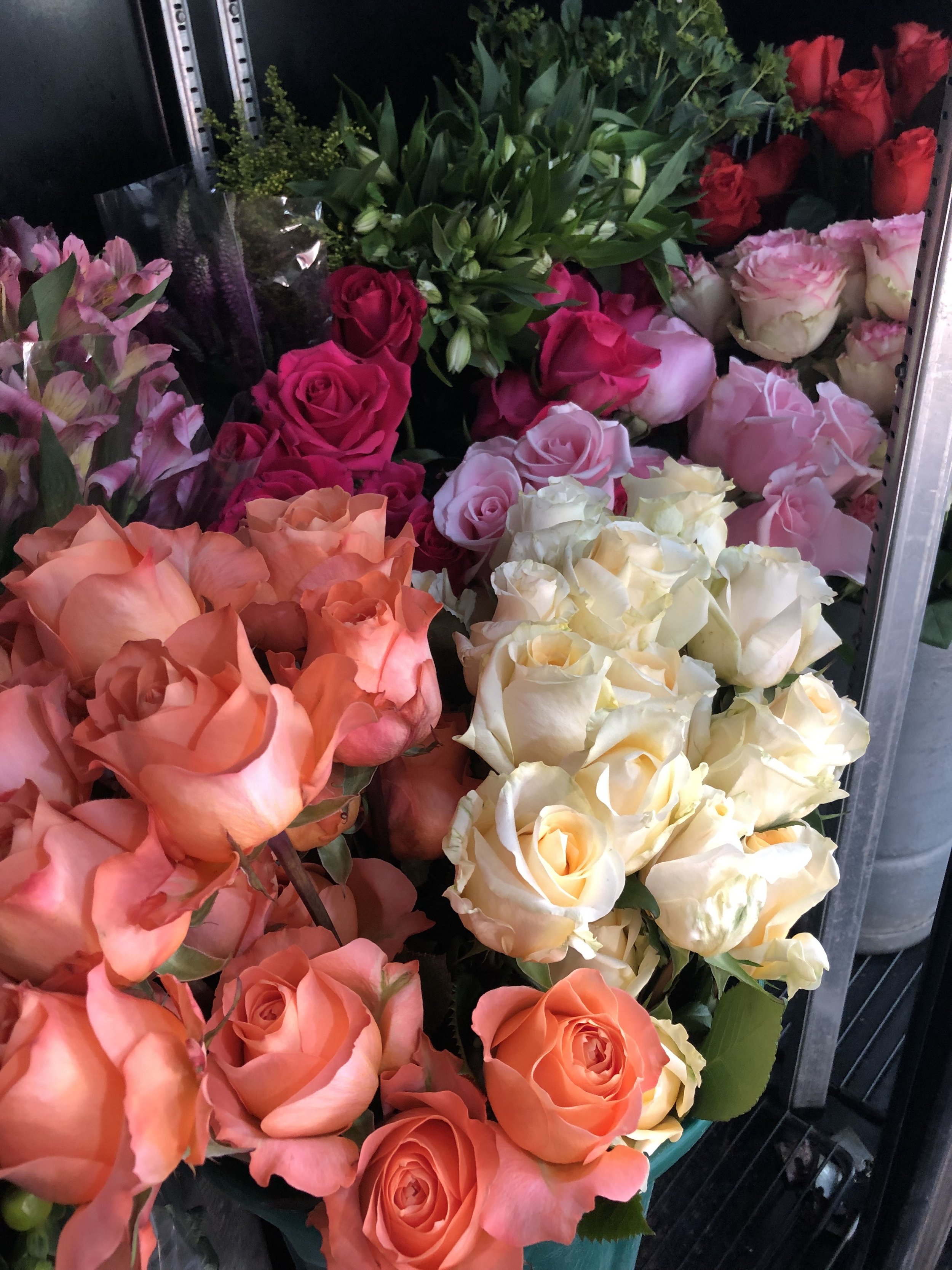 Premium Dozen Roses