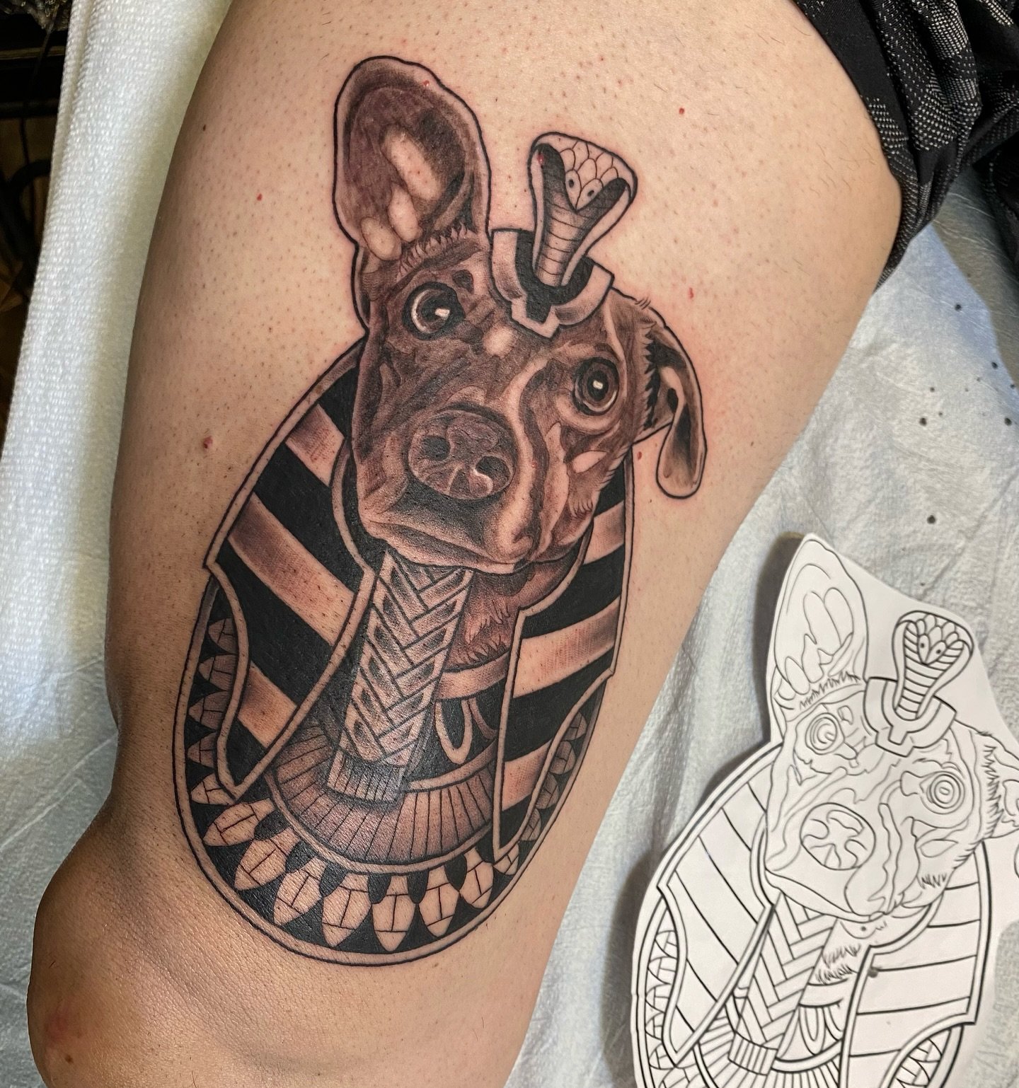 Another fun one for Jonathan. Turned his dog into an Egyptian Anubis.  Done alongside the rad crew at @tildeathdenver 

#coloradotattoo #denvertattoo #pettattoo #dogtattoo #anubis #anubistattoo #petportrait #crestedbuttetattoo