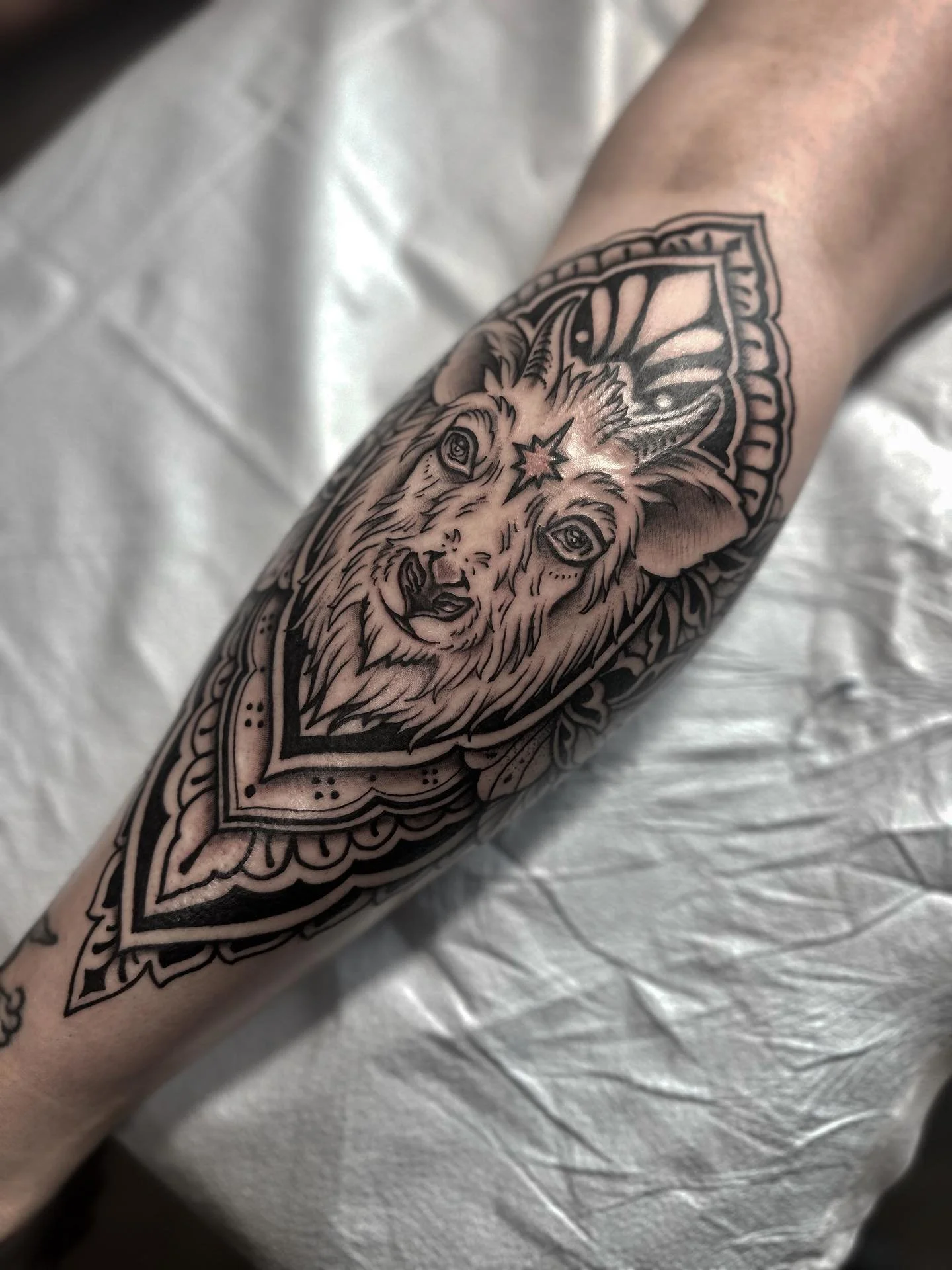 A Japanese Kamoshika for Emily&rsquo;s calf. They are the coolest! Emily, It&rsquo;s been so awesome seeing you through the years!
I love pairing animals with ornamental. This one was done a couple months ago. Catching up on posting finally :)