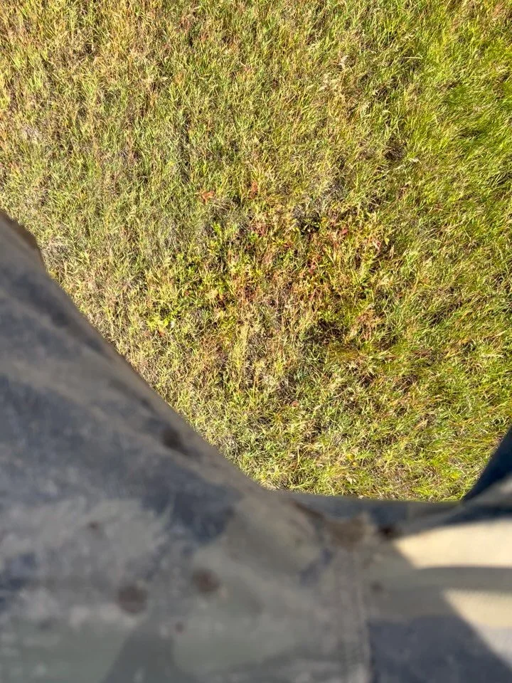 Woke up thinking, man I miss bike season. But what hit me harder than that is how stoked I am to be alive right now. Working hard to build a life I love with some of the most beautiful people. 

Artwork would be nothing for me if it wasn&rsquo;t for 