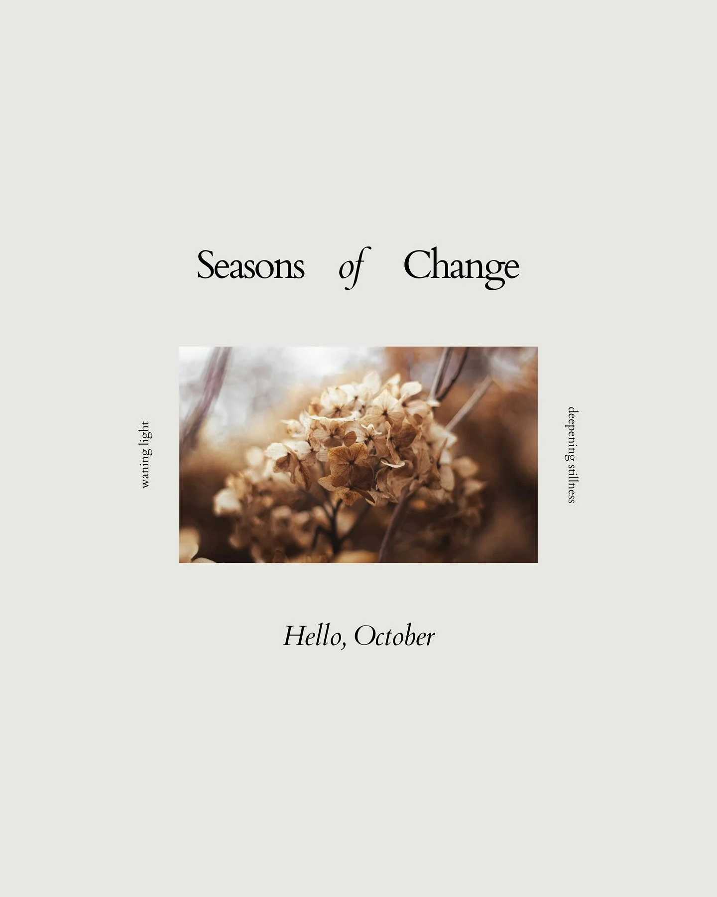 October: a reminder that release can be a kind of renewal 🍂
Light wanes, stillness deepens, what falls away makes room for what&rsquo;s yet to grow.