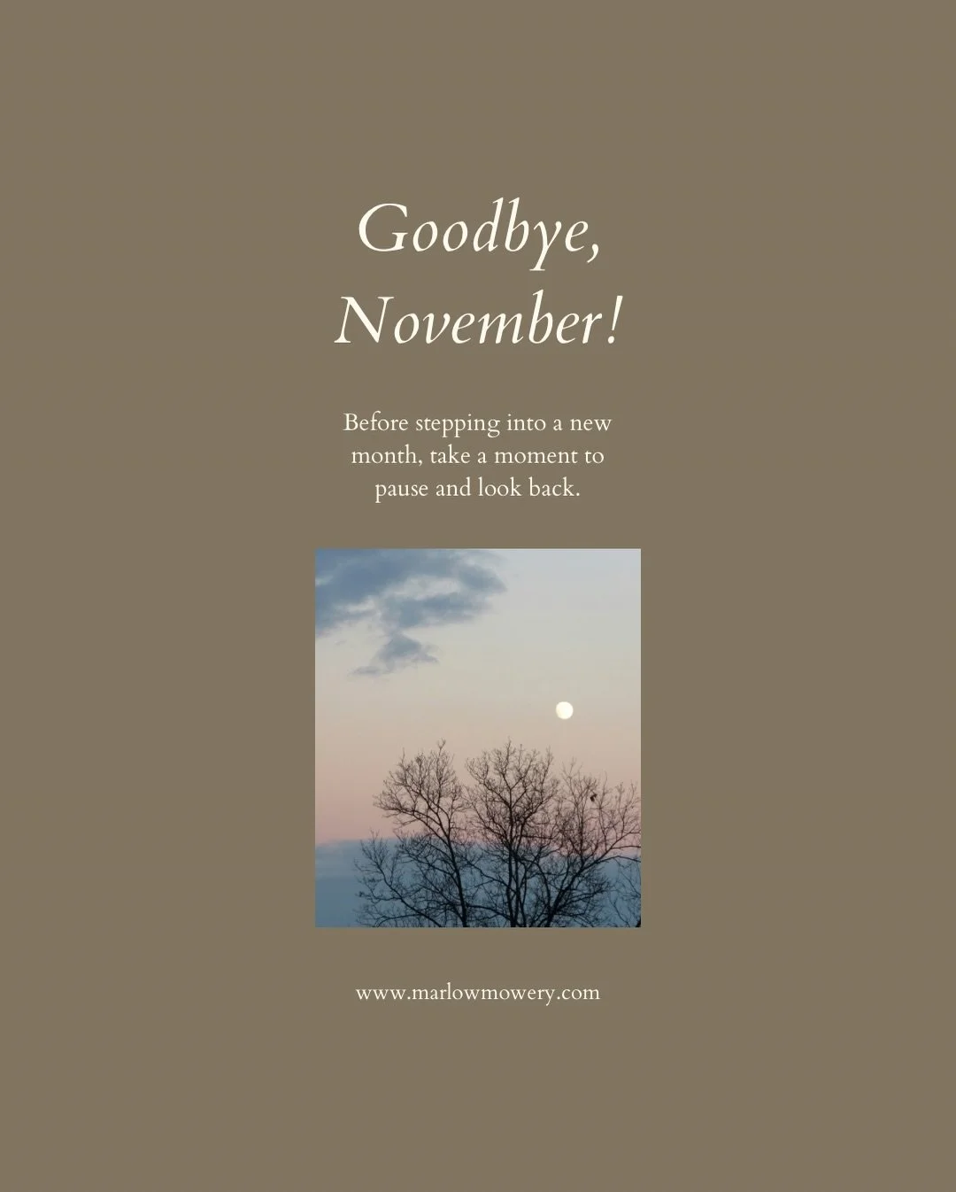 As we approach the end of another month, I'm thinking about what November has held. It has certainly gotten colder and darker, harder to wake in the mornings, and through that has, at least for me, made the hours of daylight and warmth feel even more