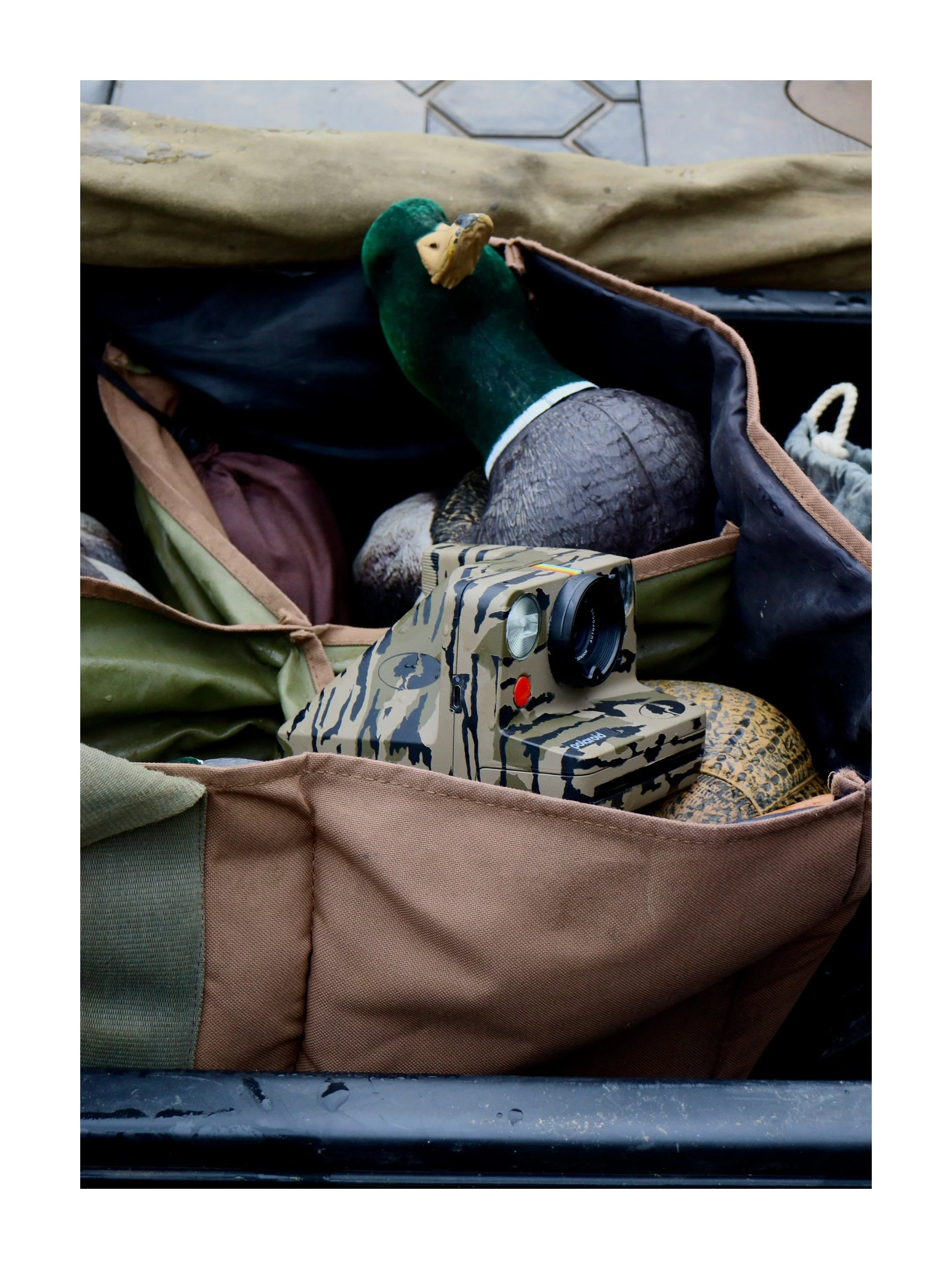 Newest addition to the website! Get yours customized today!👇
https://www.smokin-quack.com/store-1/p/custom-polaroid-camera
🦆
🦆
🦆
#smokinquack #arkansas #retro #classic #hunting