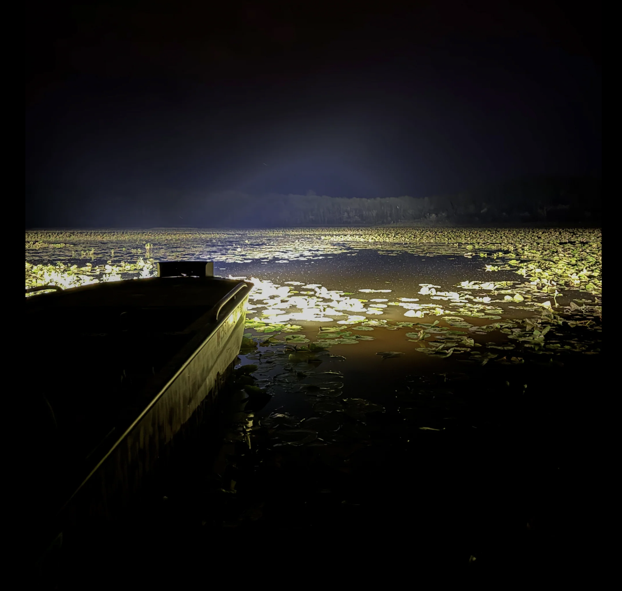 Screenshot 2026-03-17 at 9.51.06 PM.png