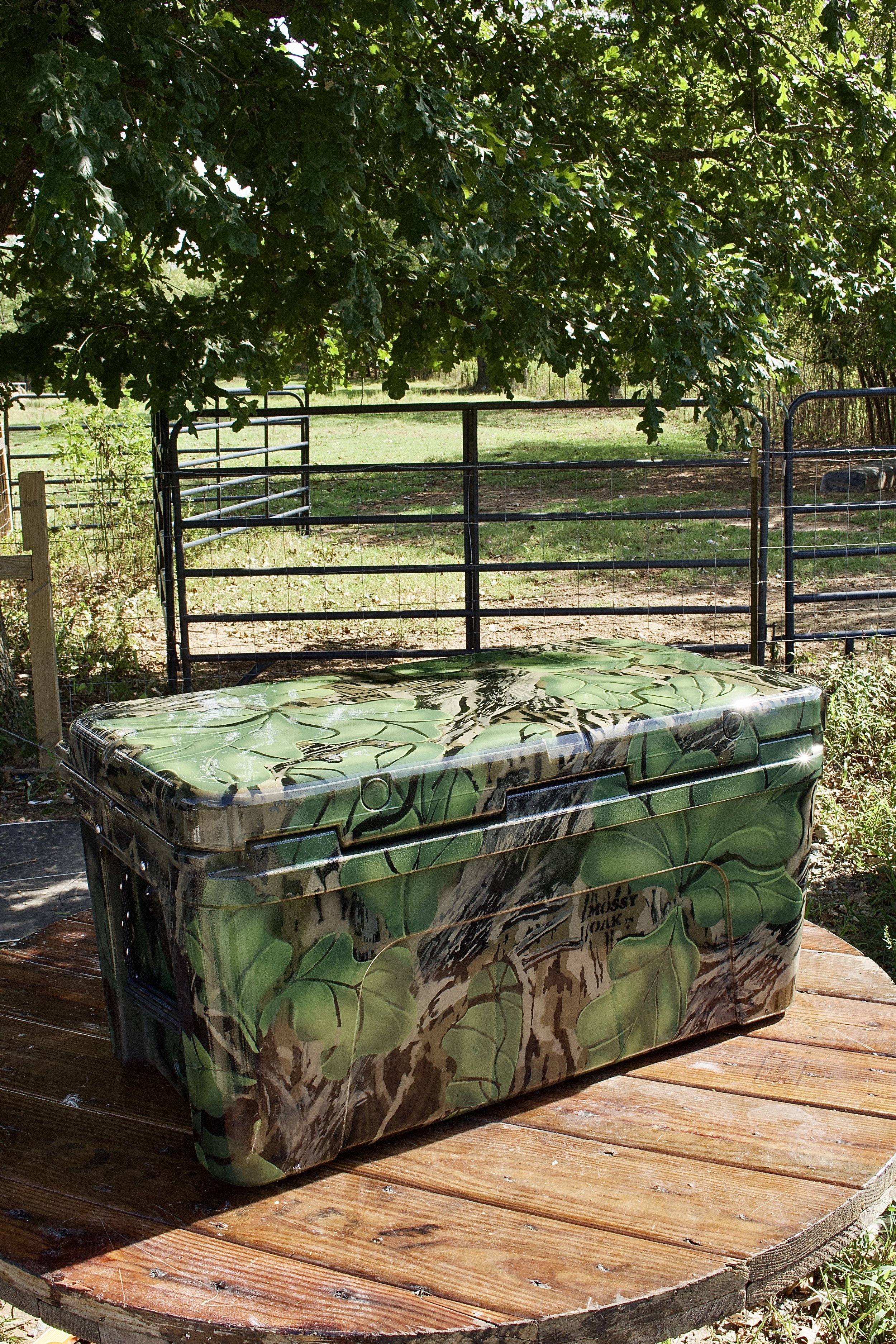 IMG_8483 2.jpeg