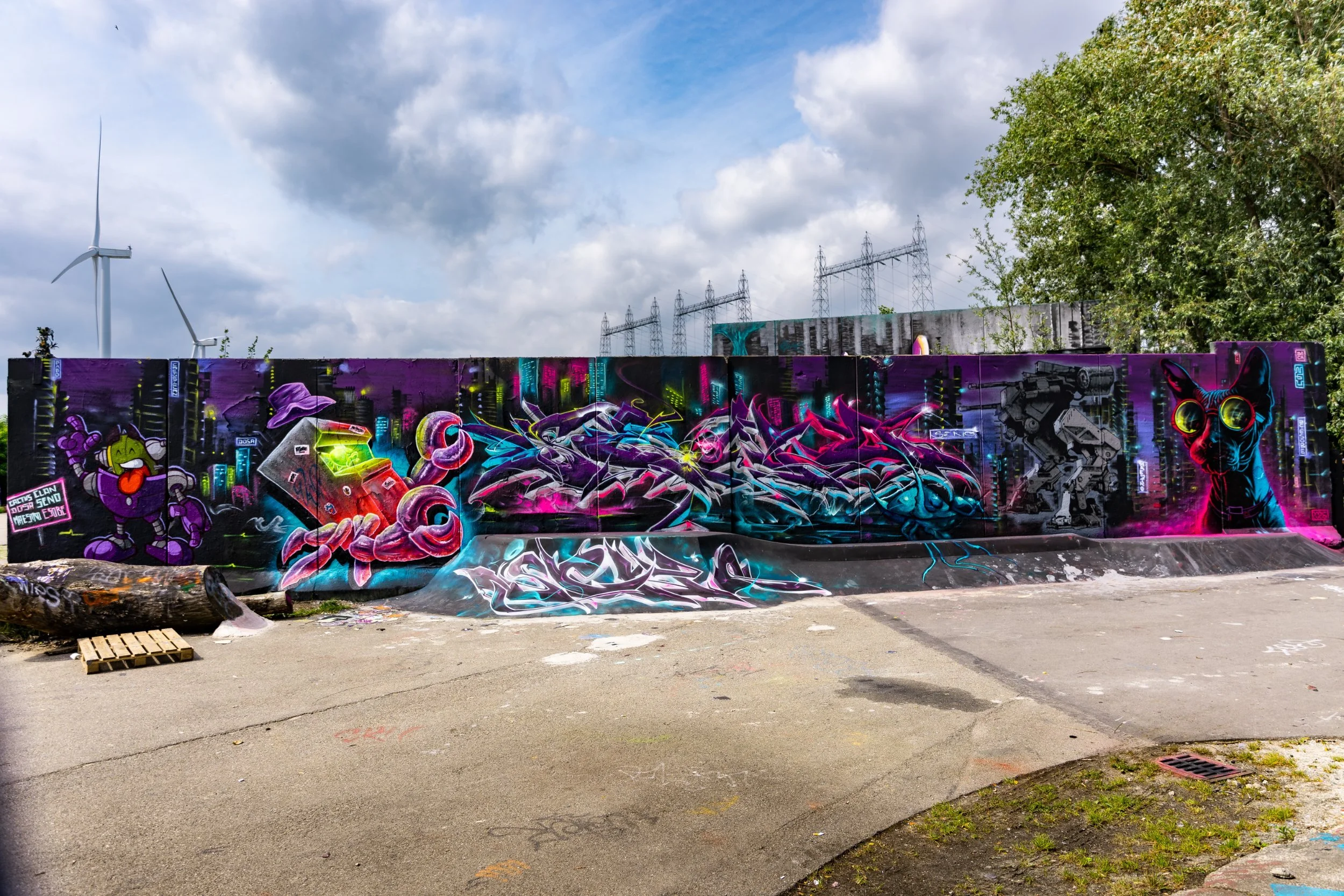 DSC_5934.jpg