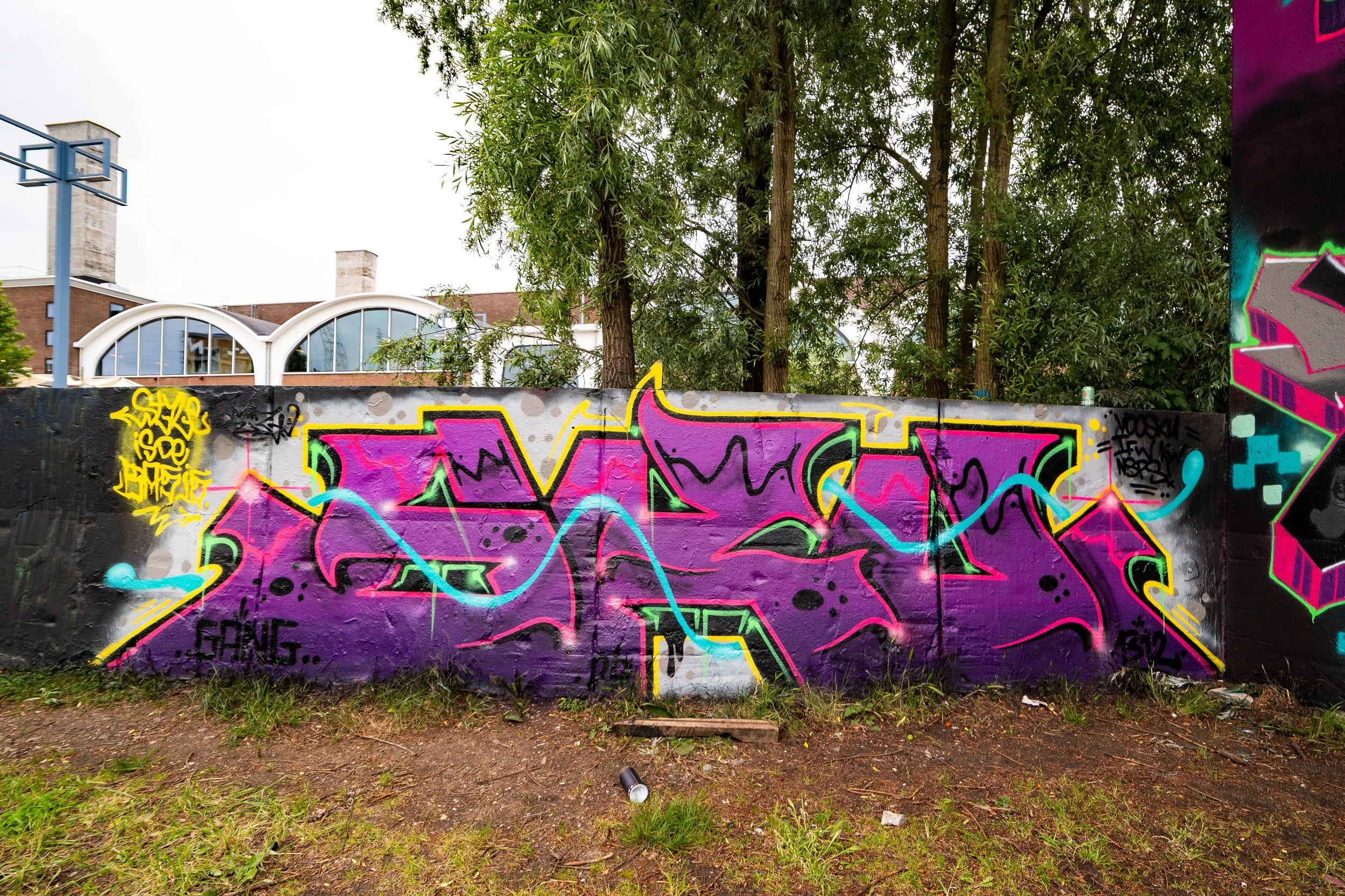 DSC_5608.jpg