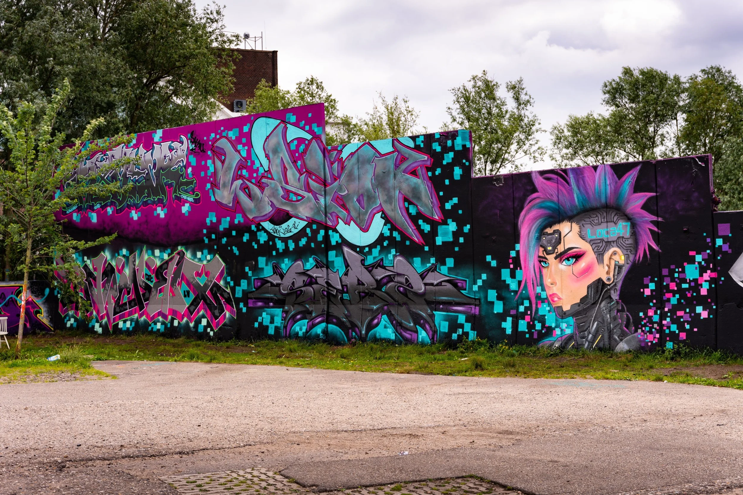 DSC_5710.jpg