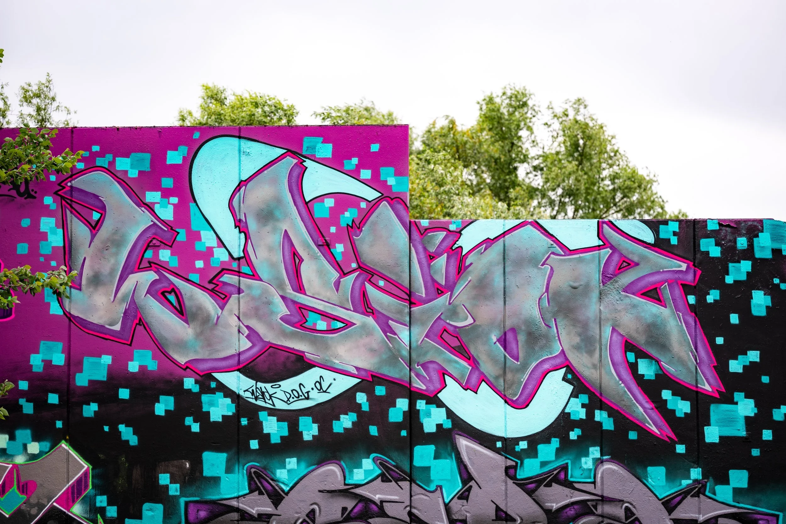 DSC_5564.jpg