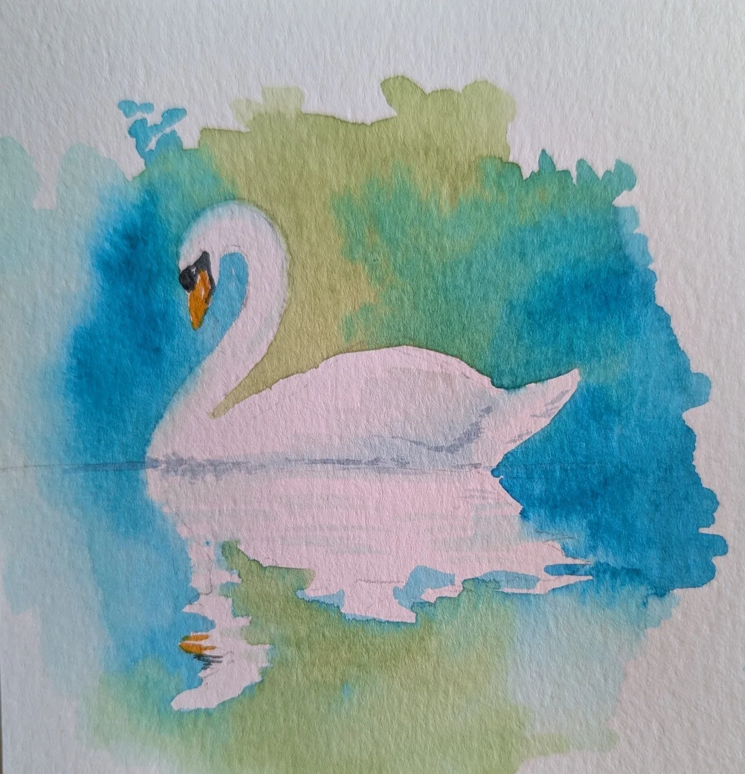 swan #1