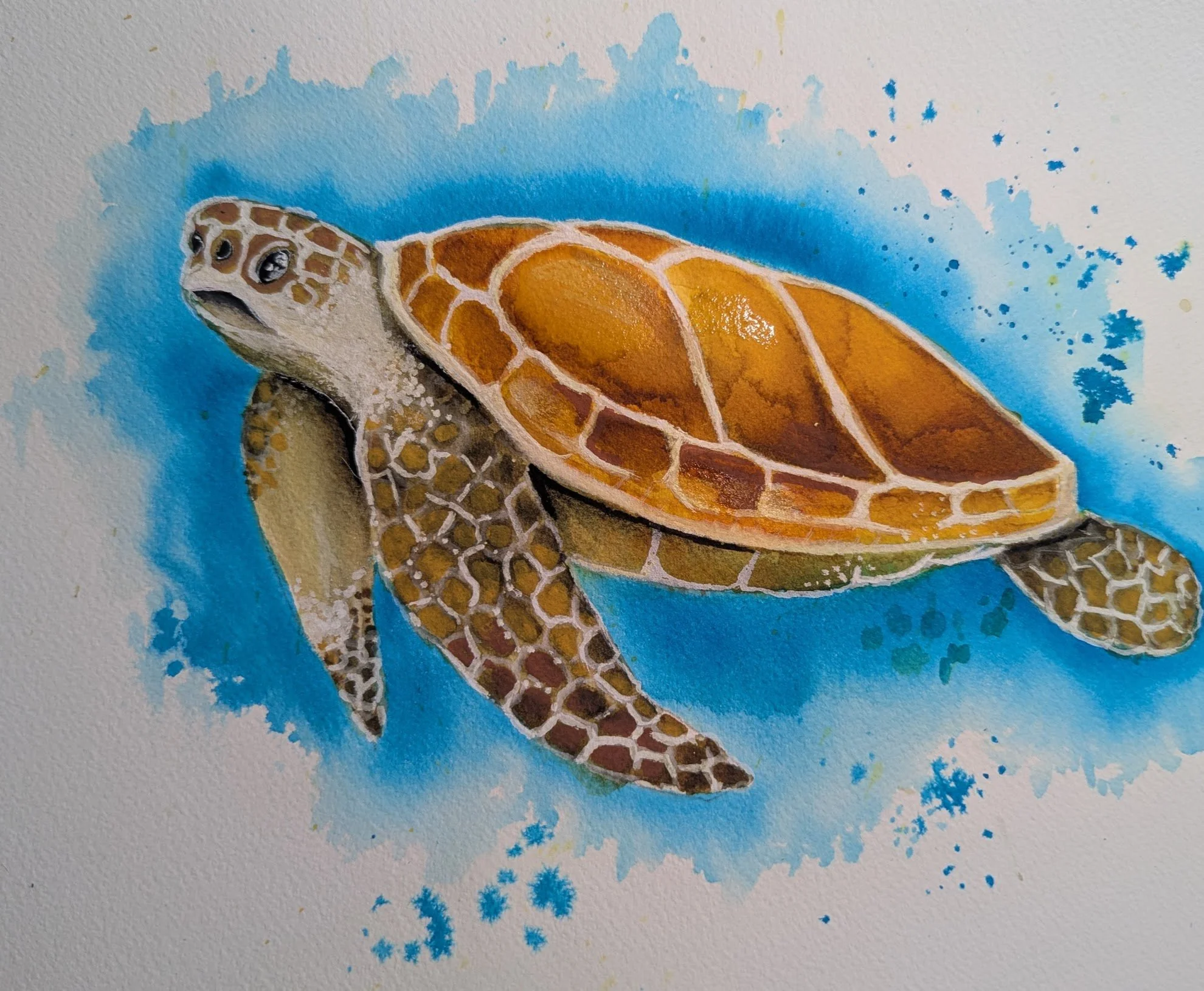 sea turtle (white elephant gift)