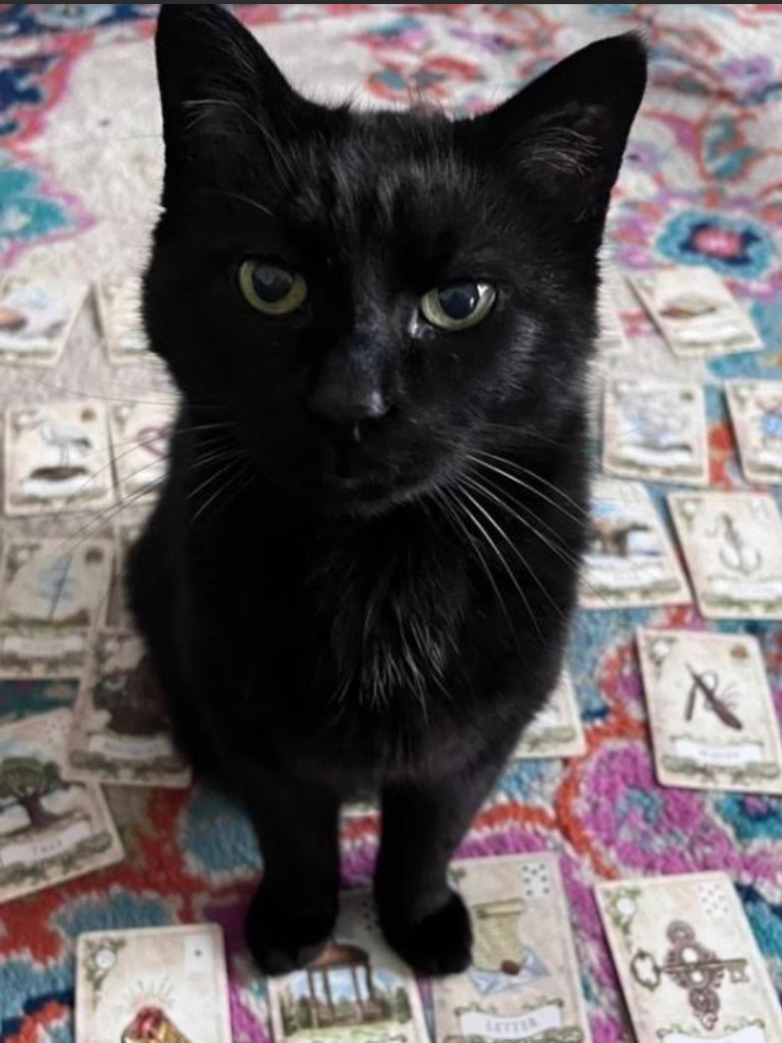 Screenshot 2026-04-20 192658.png