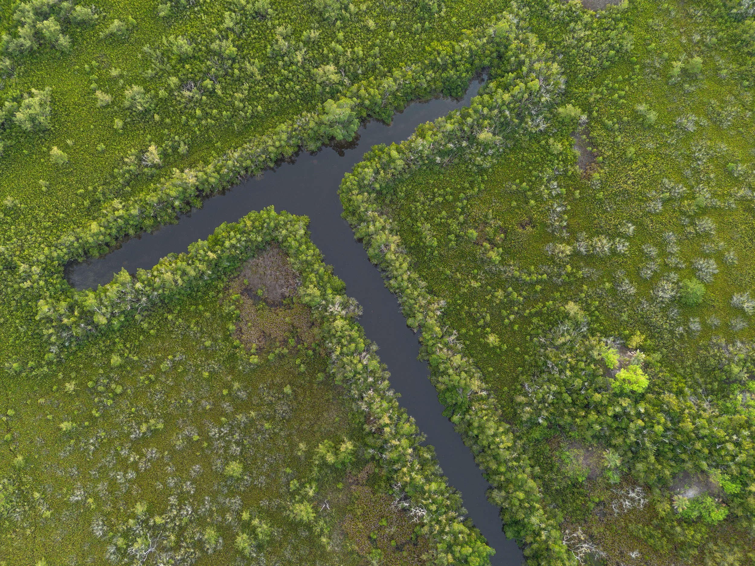 Punta Gorda, Florida