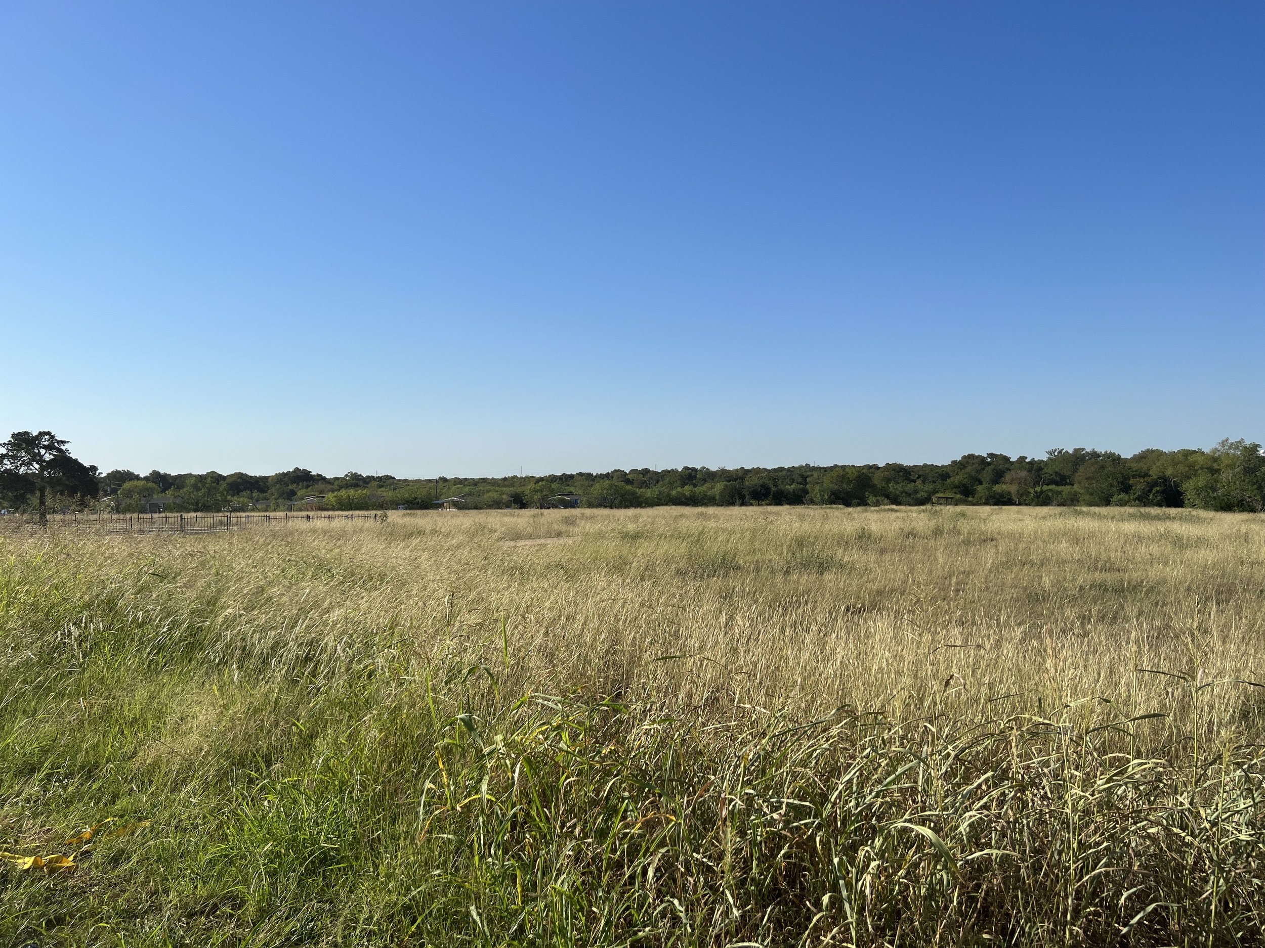 IMG_4463.jpg