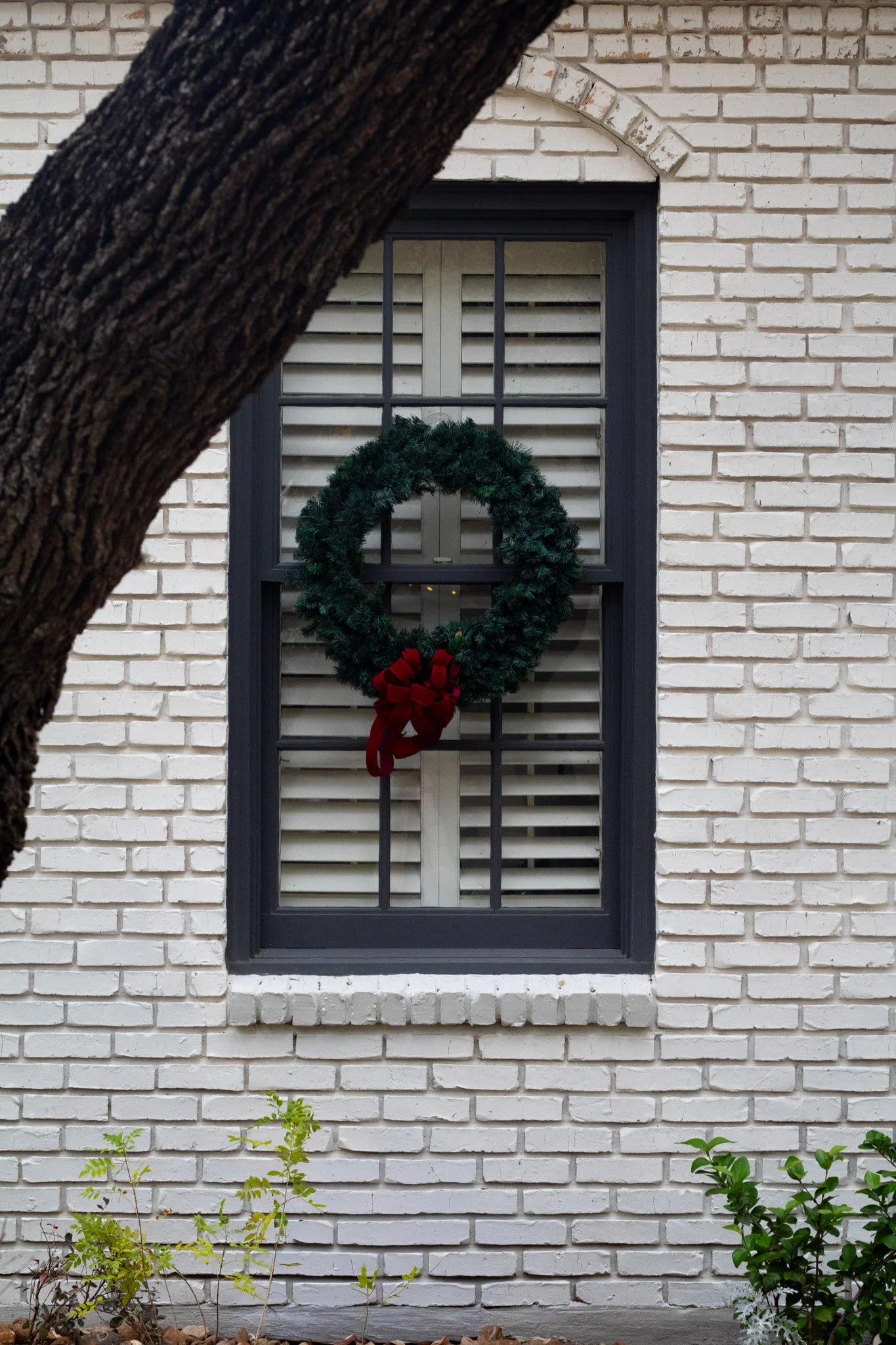 A white brick house window decorated with a green wreath and red bow, partially obscured by a tree branch in the foreground.