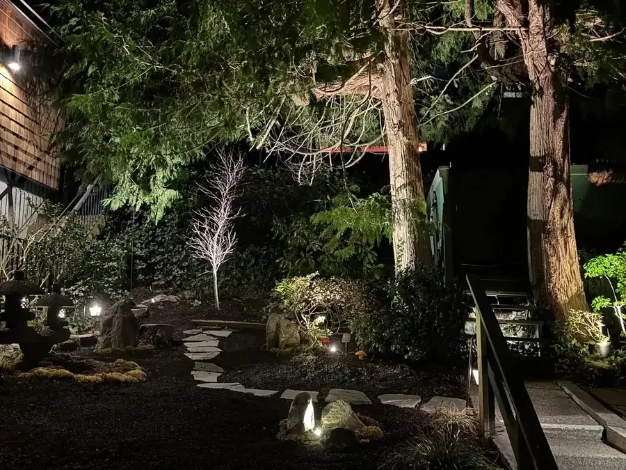 Trees and stones softly illuminated in a Japanese garden at night.