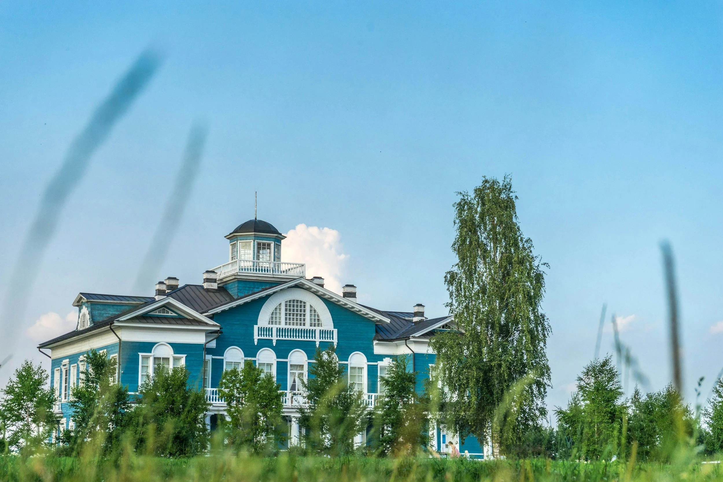 a large blue mansion with grass out of focus in the foreground and trees and lawn in between