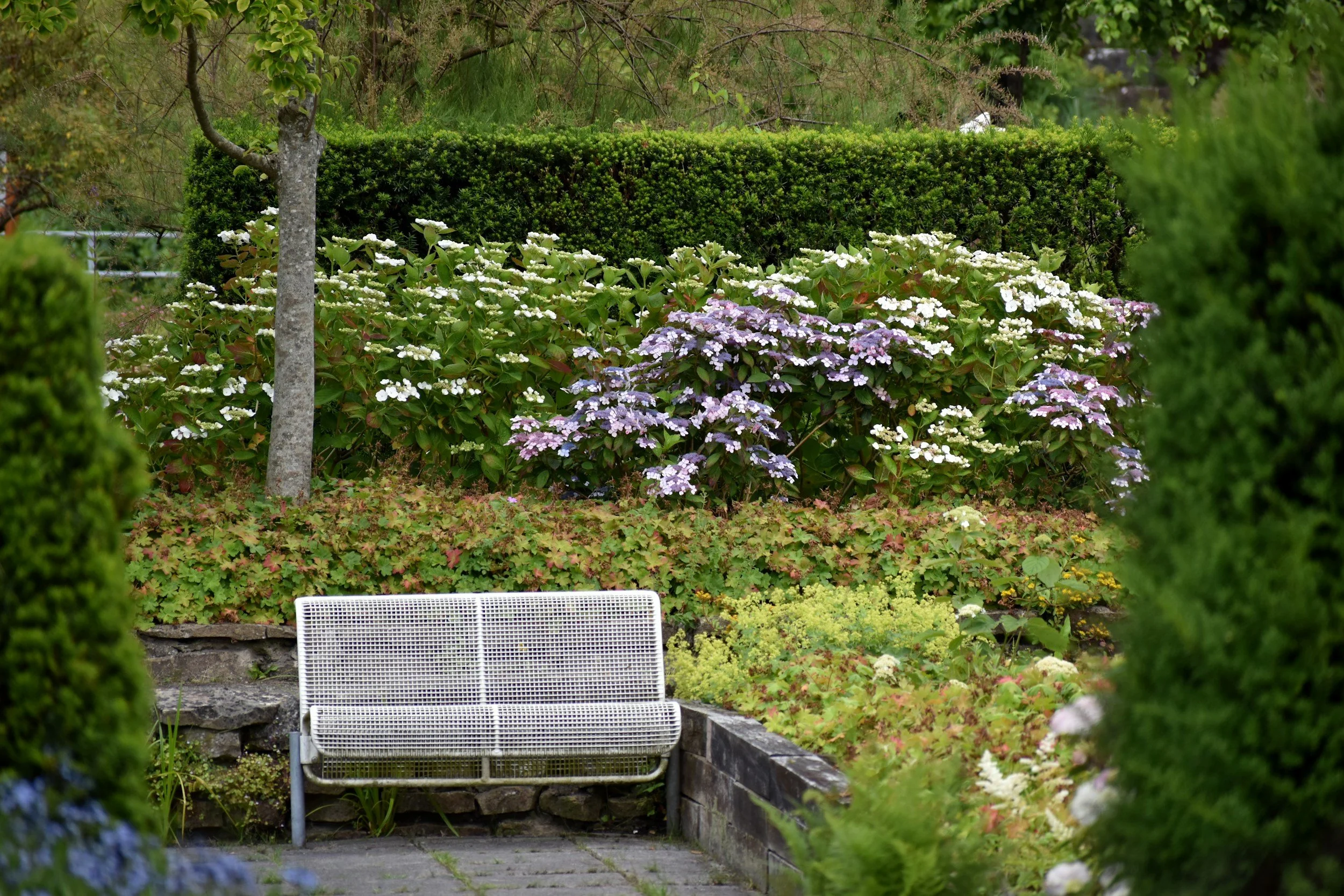 a metal bench sitting in the middle of a garden with plants in bloom